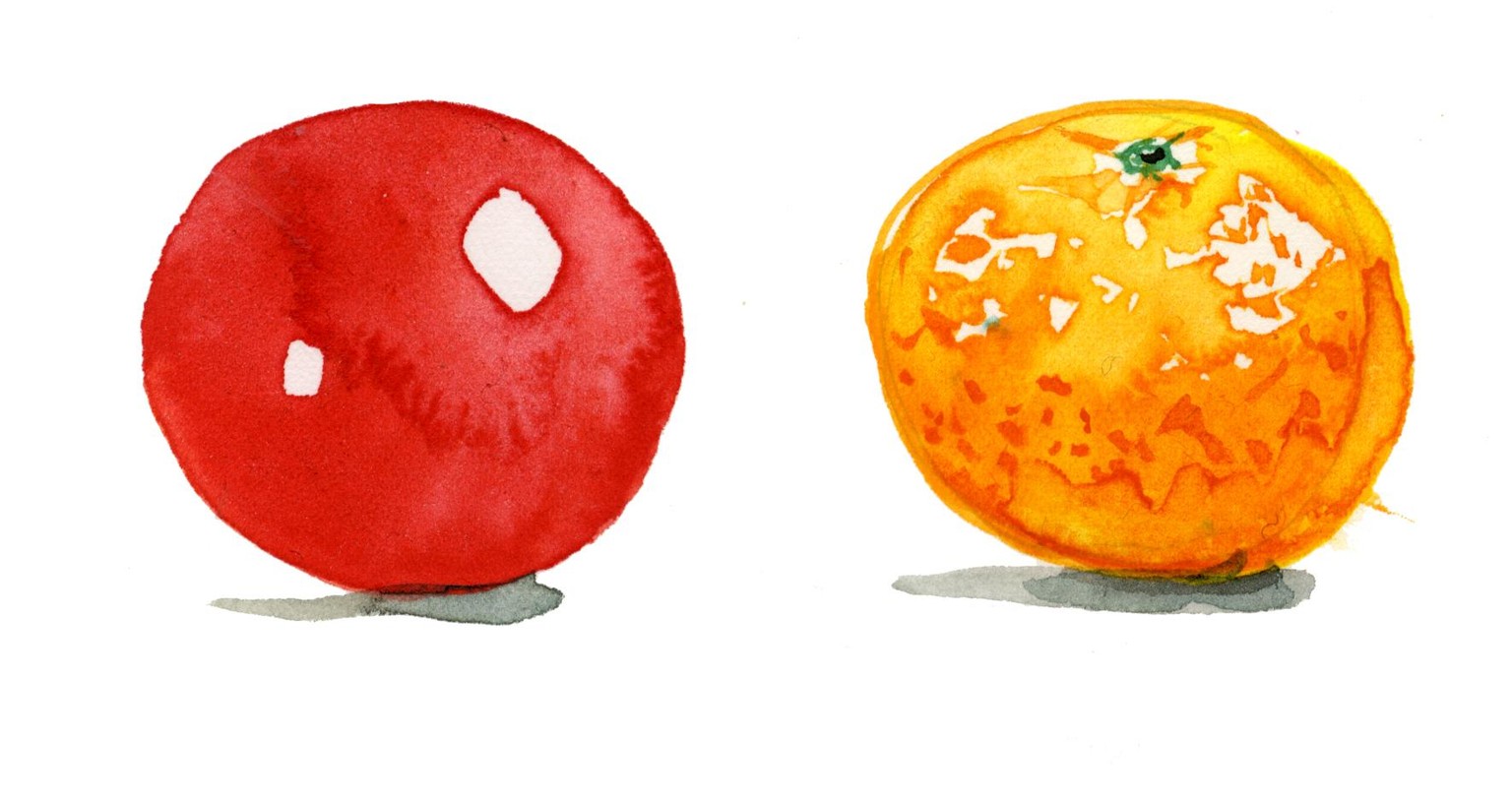 How to Paint Produce: Watercolor Fruit & Veg - image 5 - student project