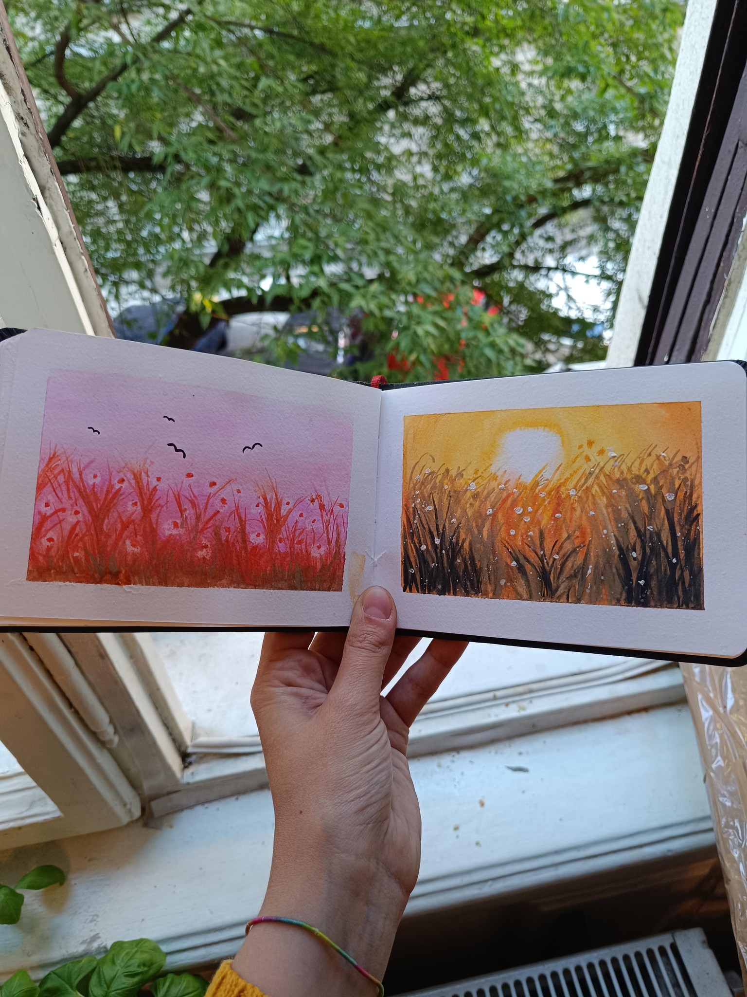 First meadows - image 1 - student project