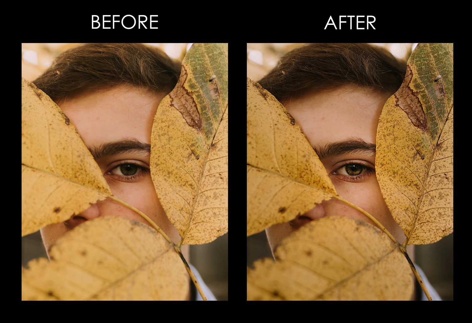 Adobe Photoshop CC – Projects - image 16 - student project