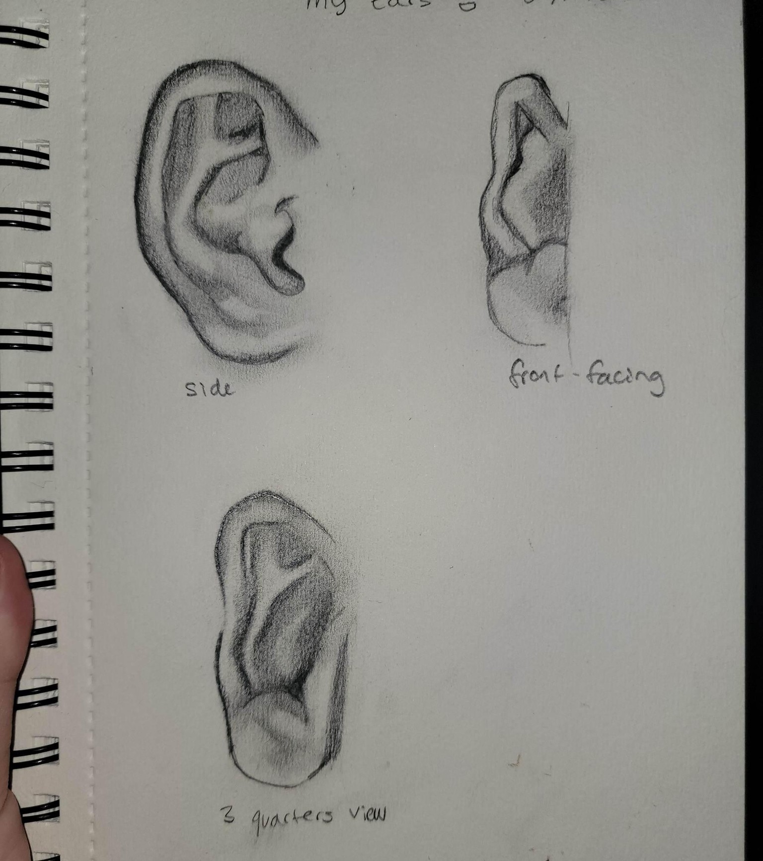 ears - image 1 - student project