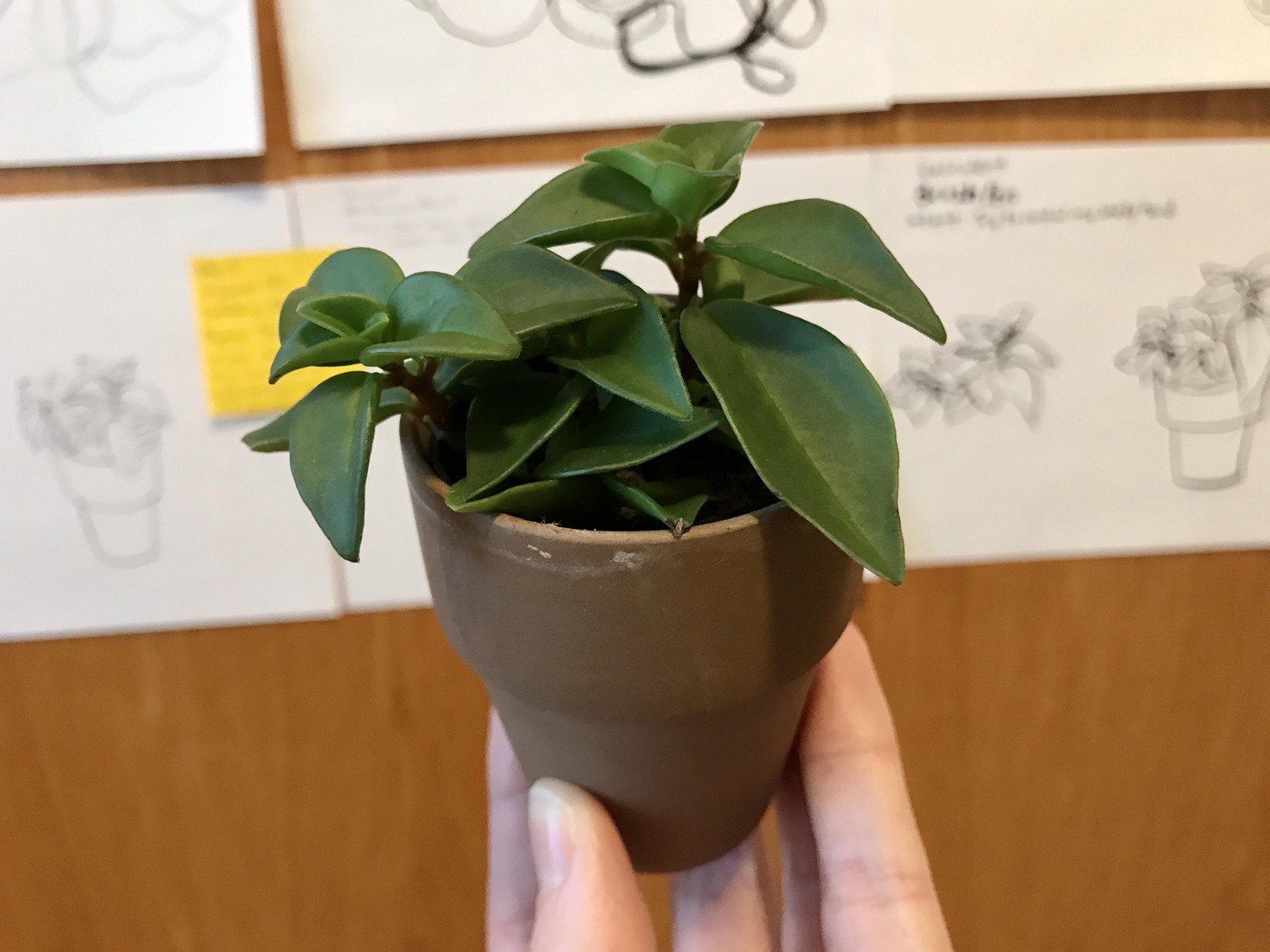 My 14 day challenge - image 19 - student project