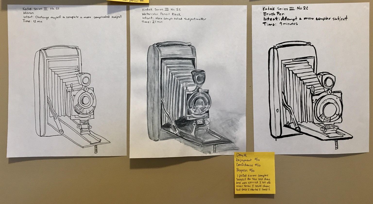 My 14 day challenge - image 2 - student project
