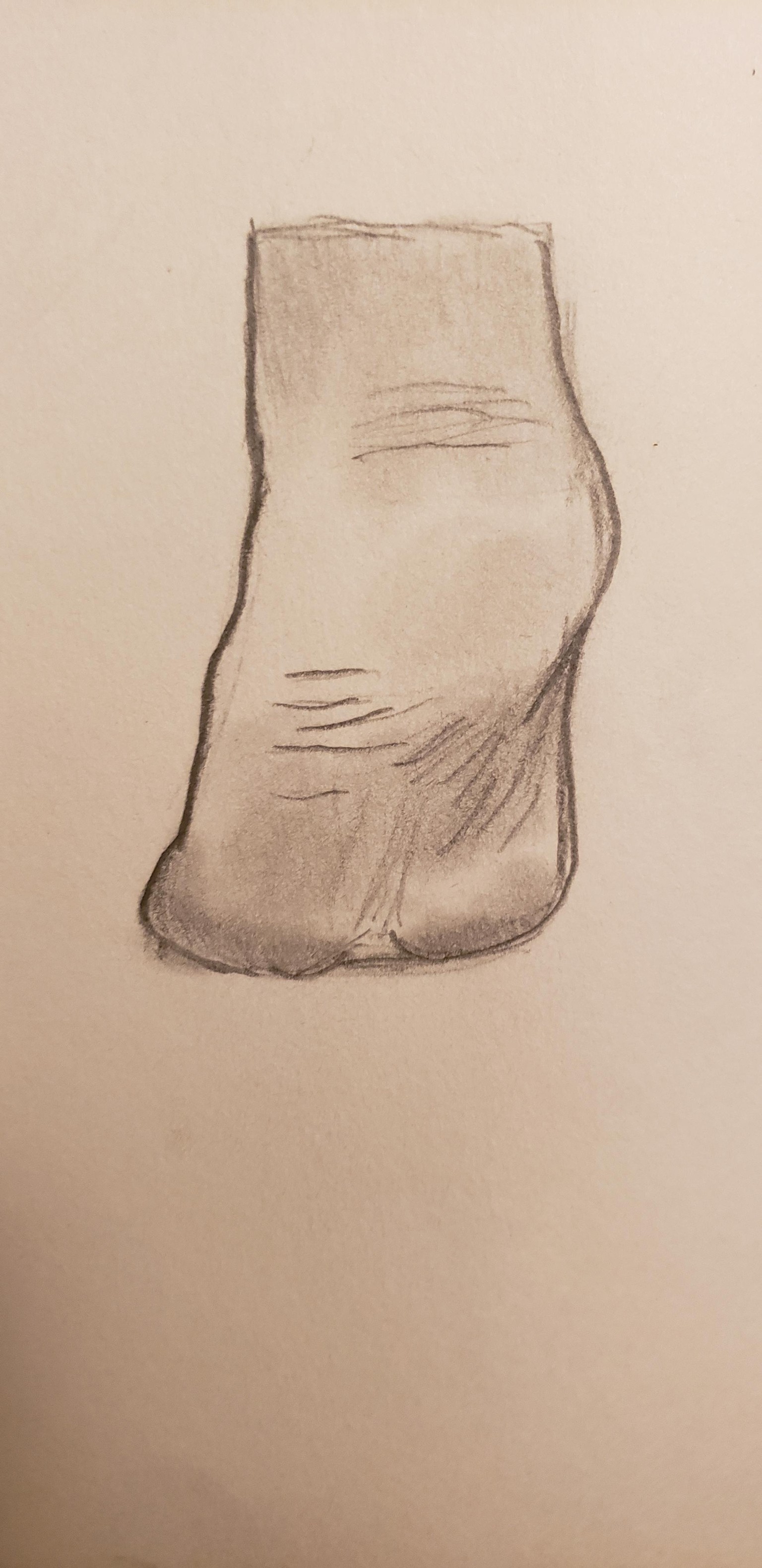 Feet Project - image 1 - student project