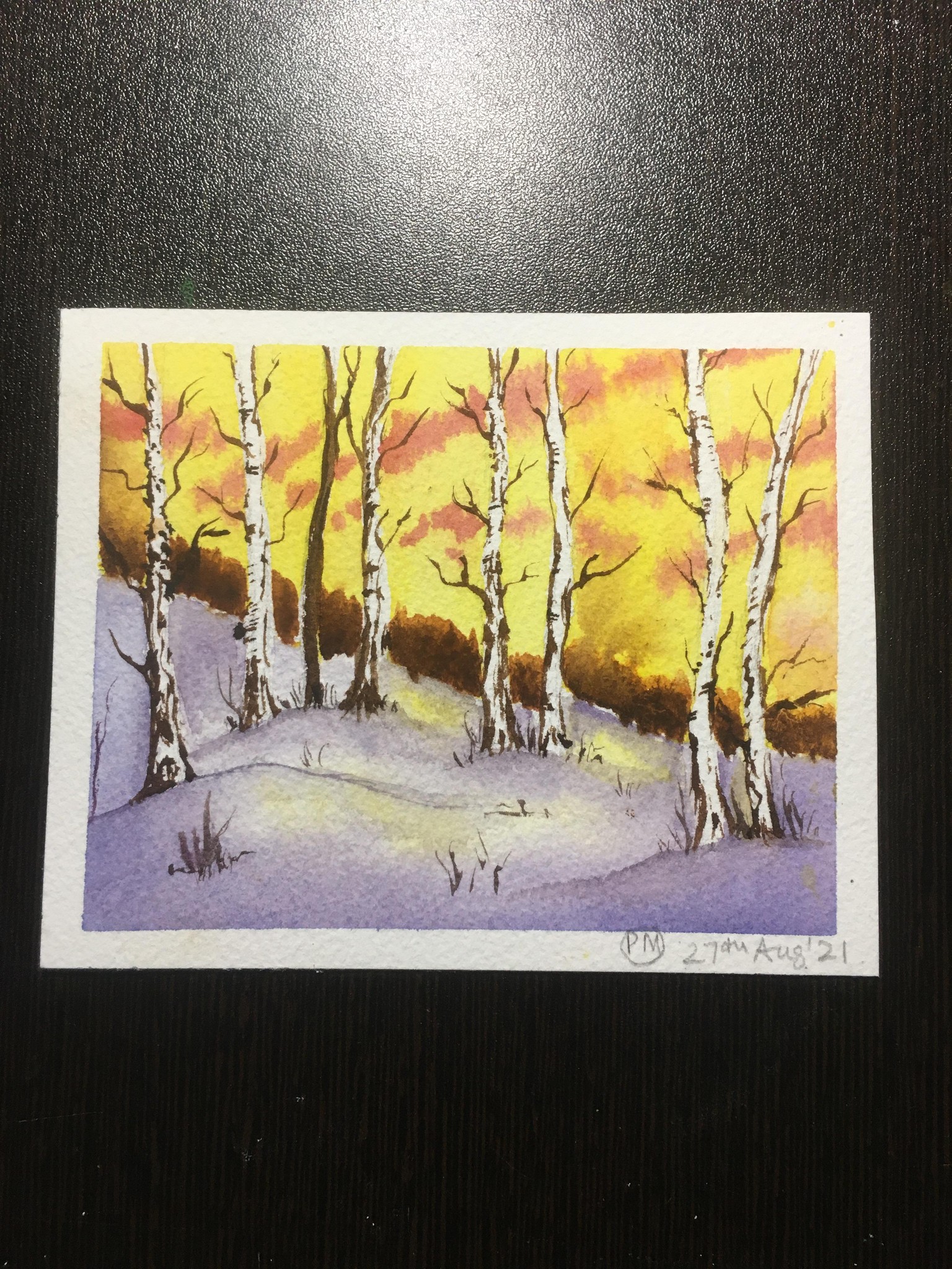 Quick and easy winter sunset - image 4 - student project