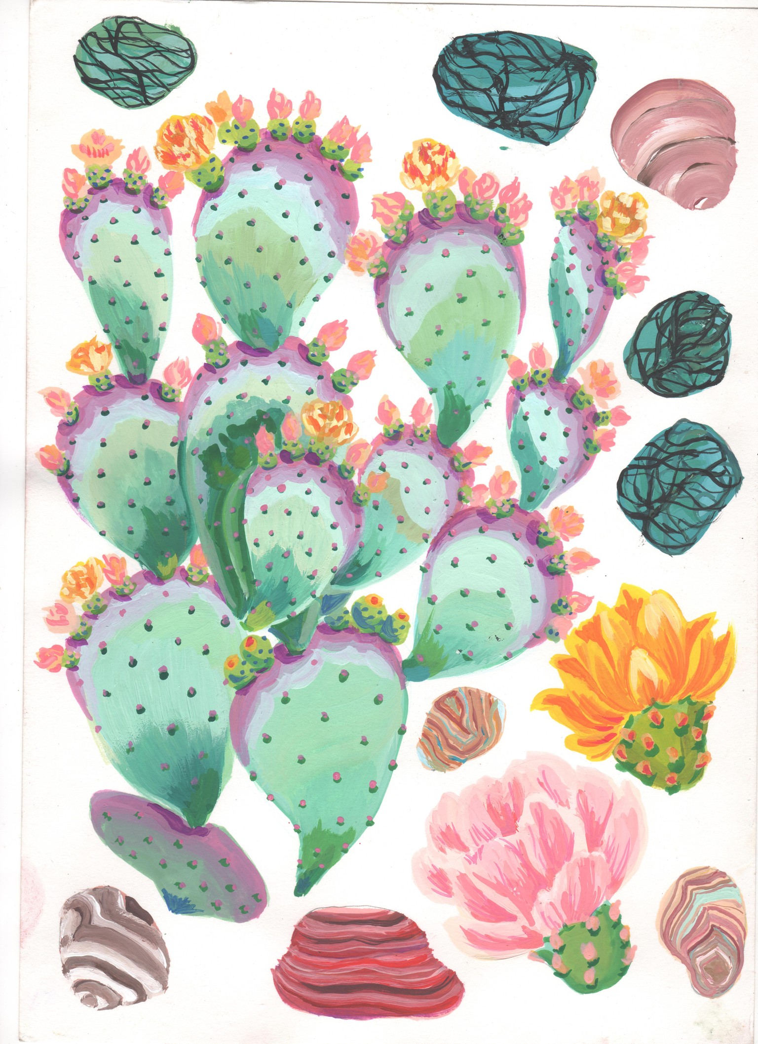 Cactus Garden - image 3 - student project