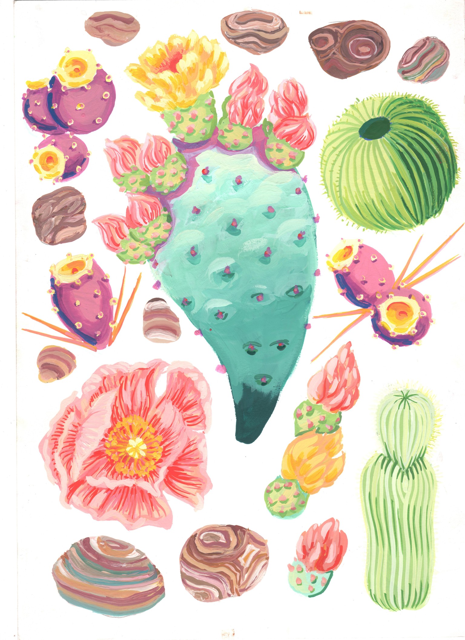 Cactus Garden - image 5 - student project