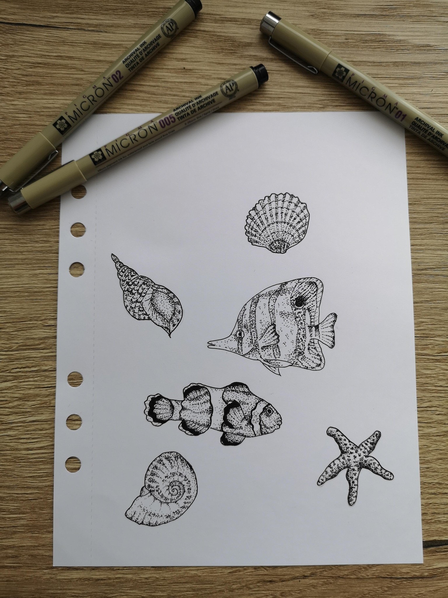 Stippling Seashells and Starfish - image 1 - student project