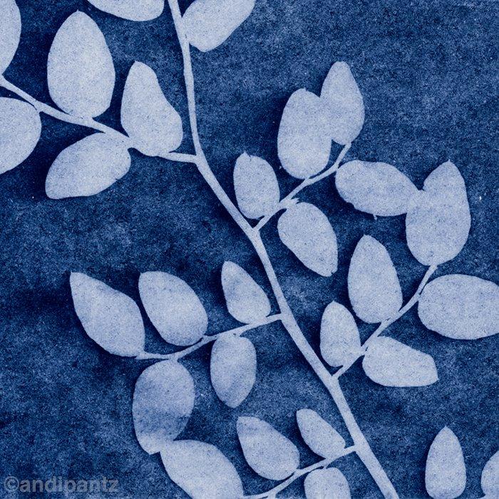 Sunprints - image 1 - student project