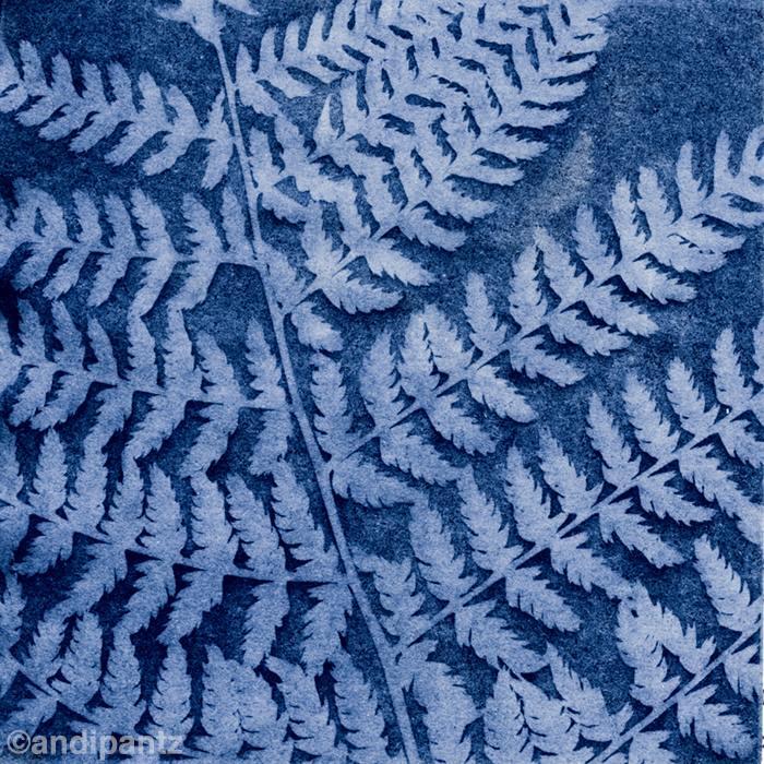 Sunprints - image 2 - student project