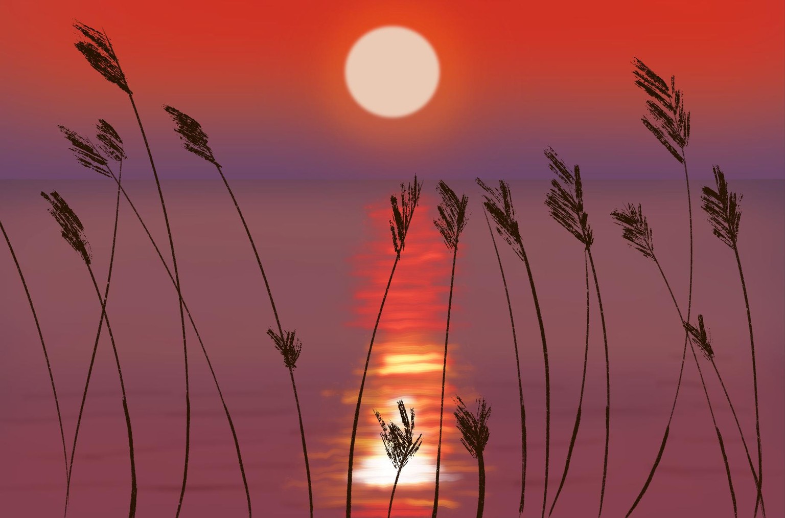 Sunset - image 1 - student project
