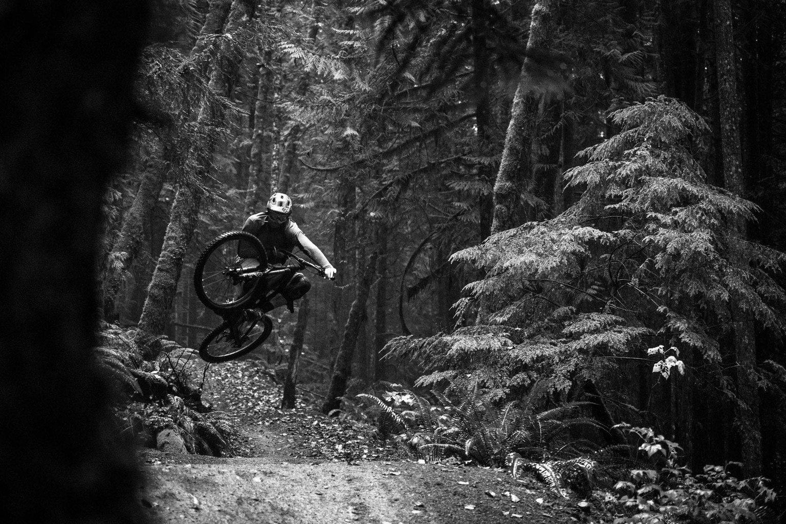 Reuben's Photos - image 3 - student project