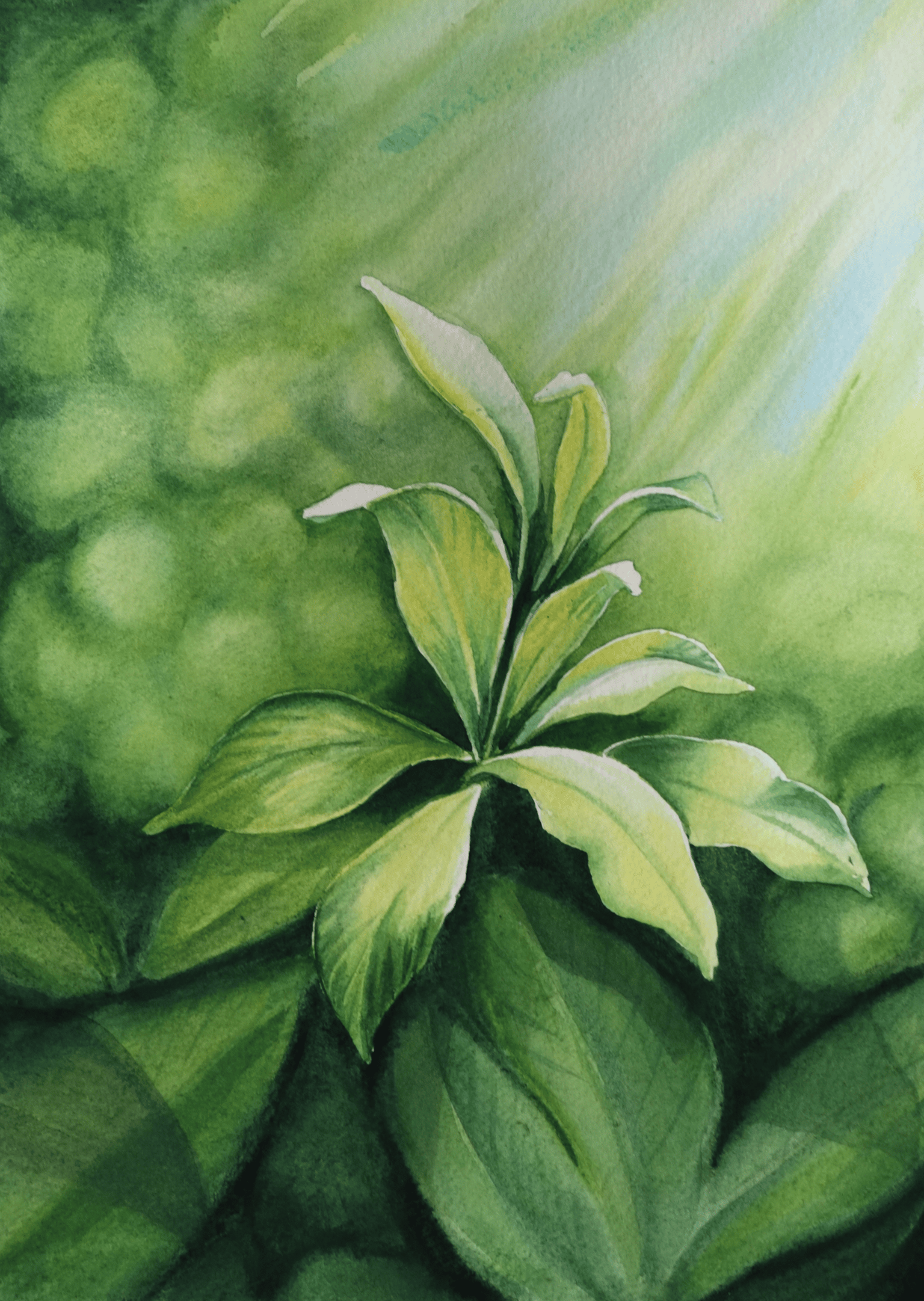 Creating Light in  Art - image 3 - student project