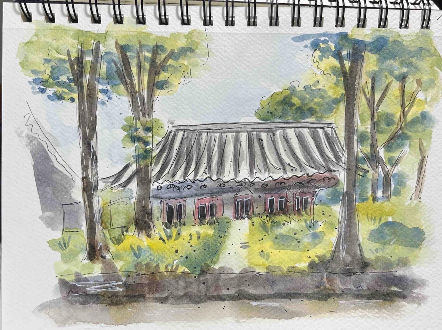 Urban Sketching Nature, Greenery and Trees - image 1 - student project