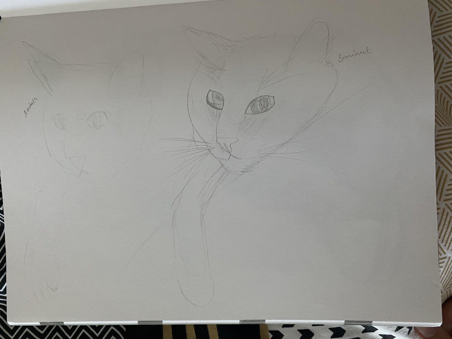 I made it to the end!!! - image 15 - student project