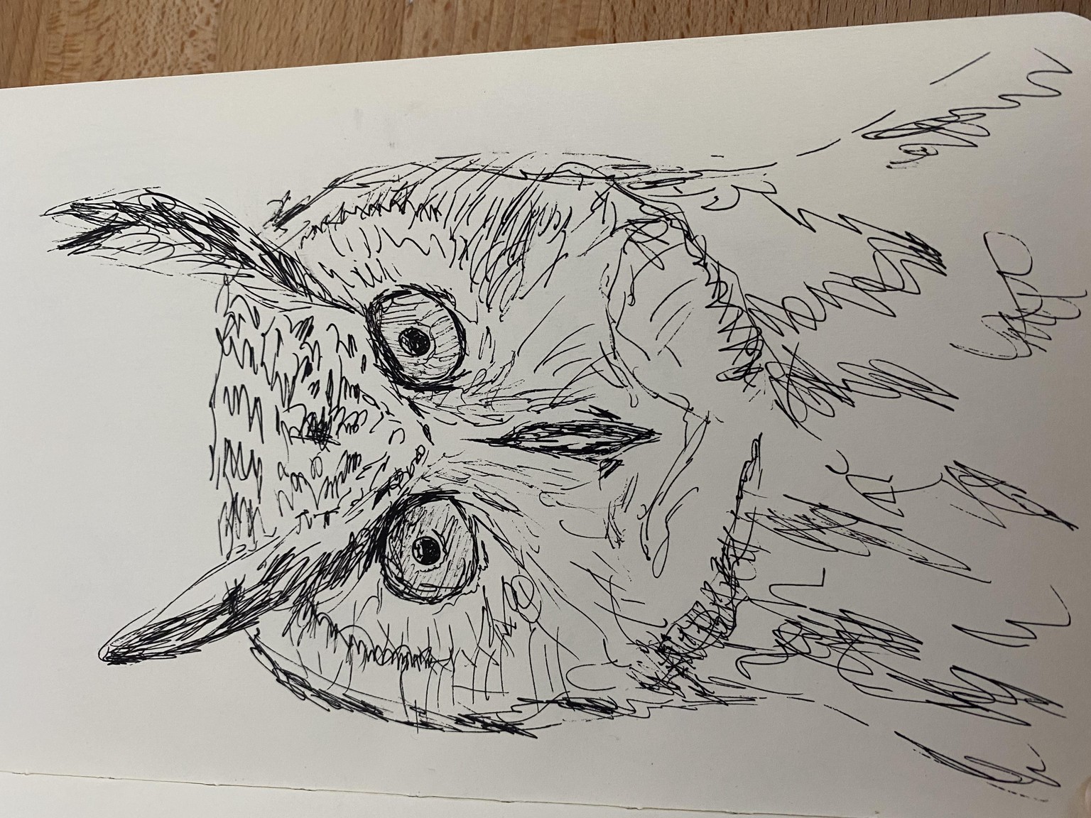 I made it to the end!!! - image 10 - student project
