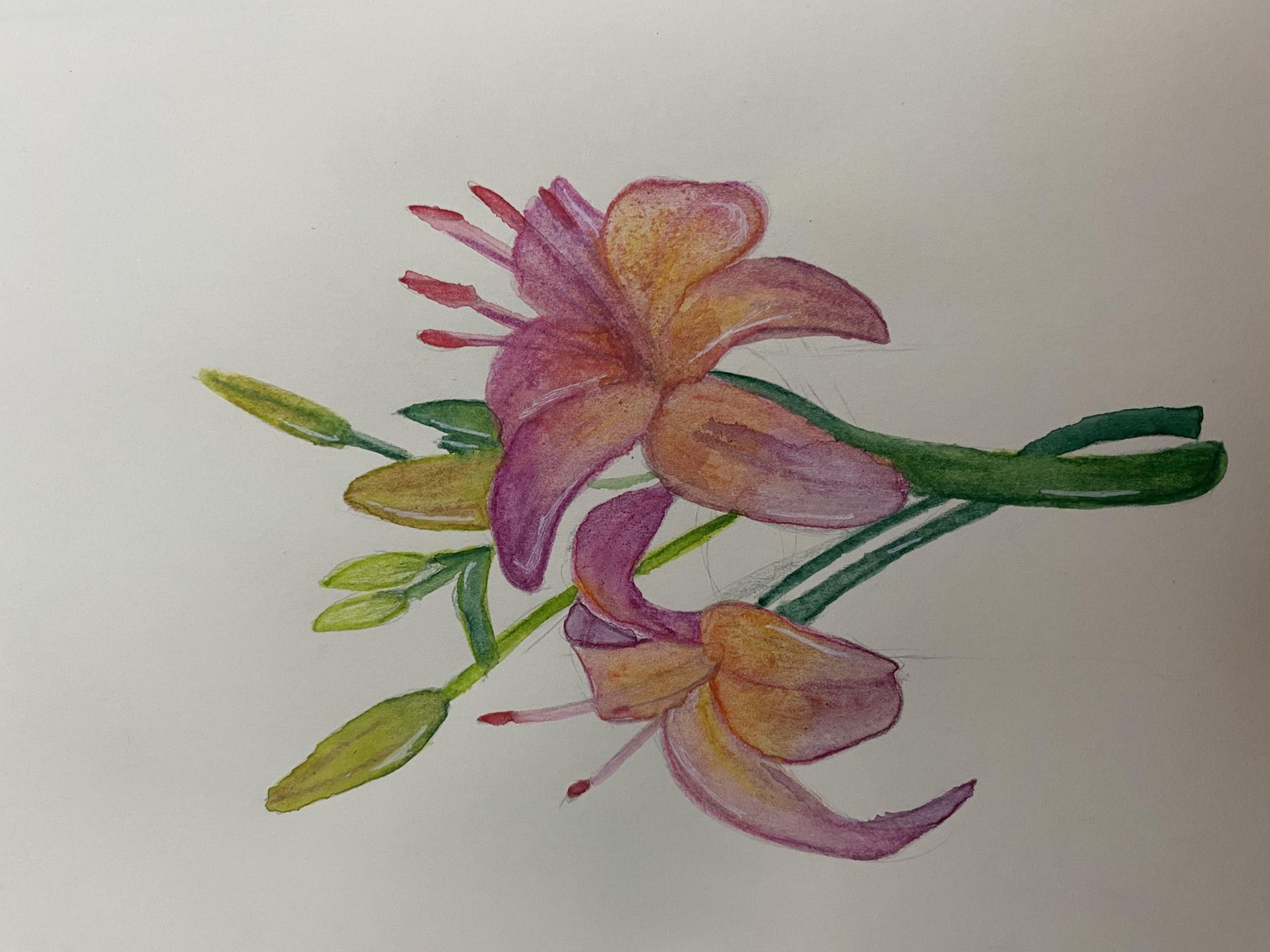 I made it to the end!!! - image 8 - student project