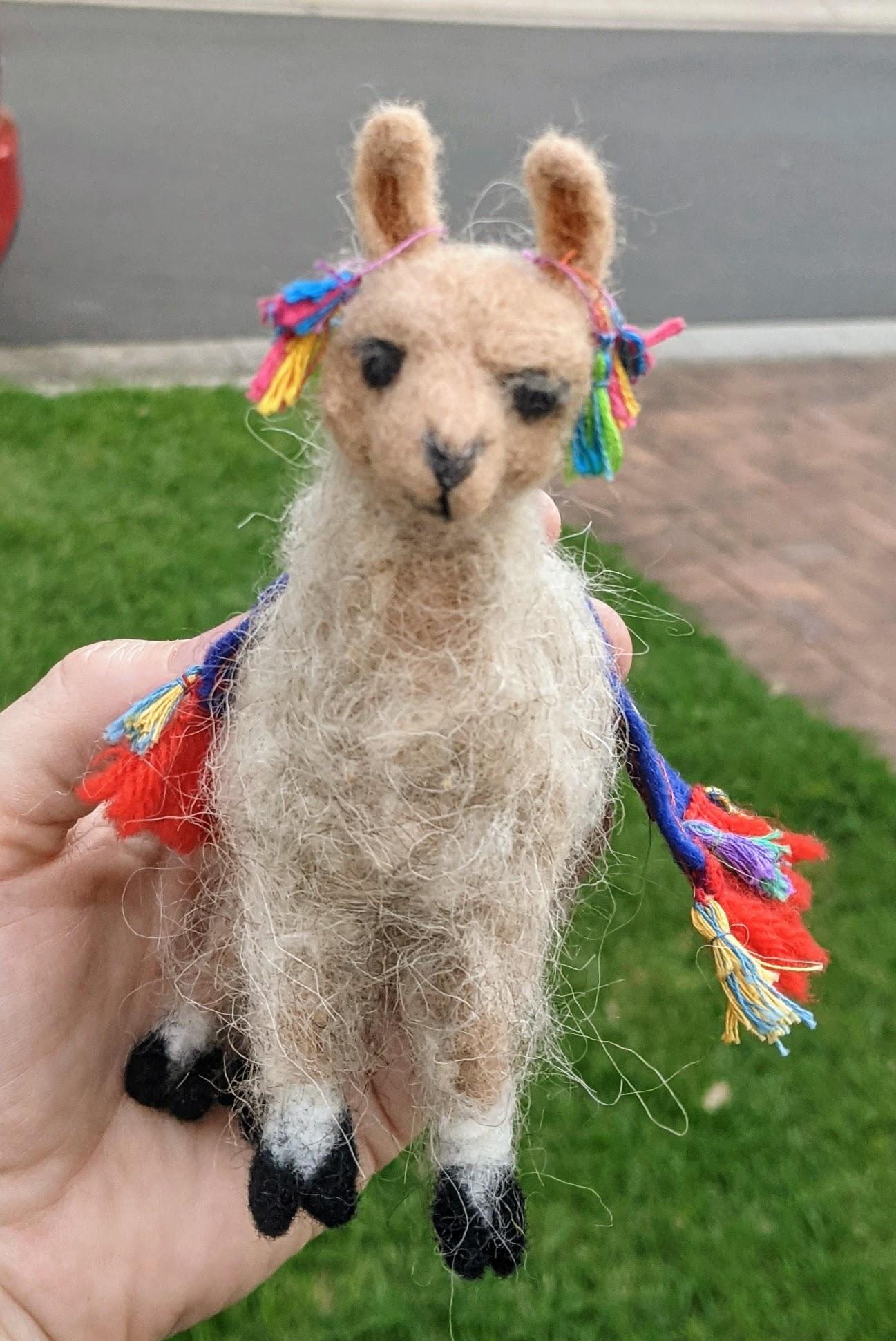 Larry the llama - image 1 - student project