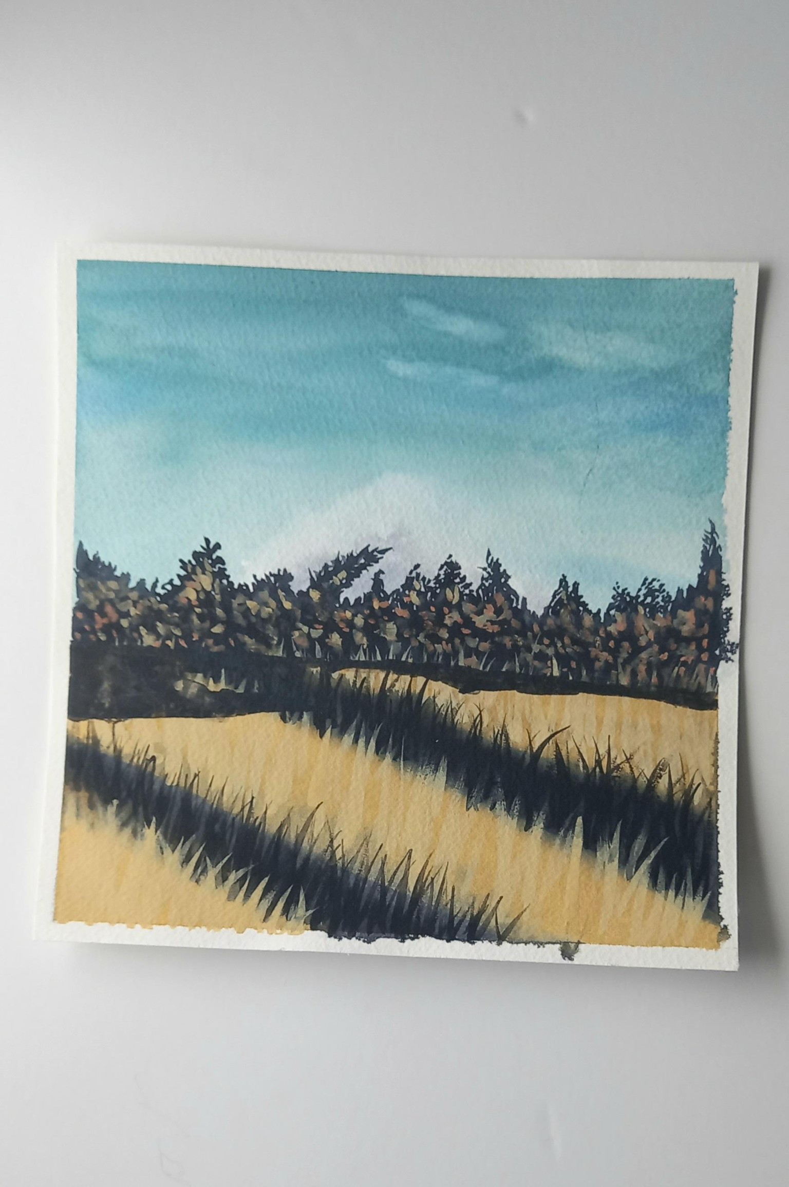 Watercolor meadows - image 4 - student project