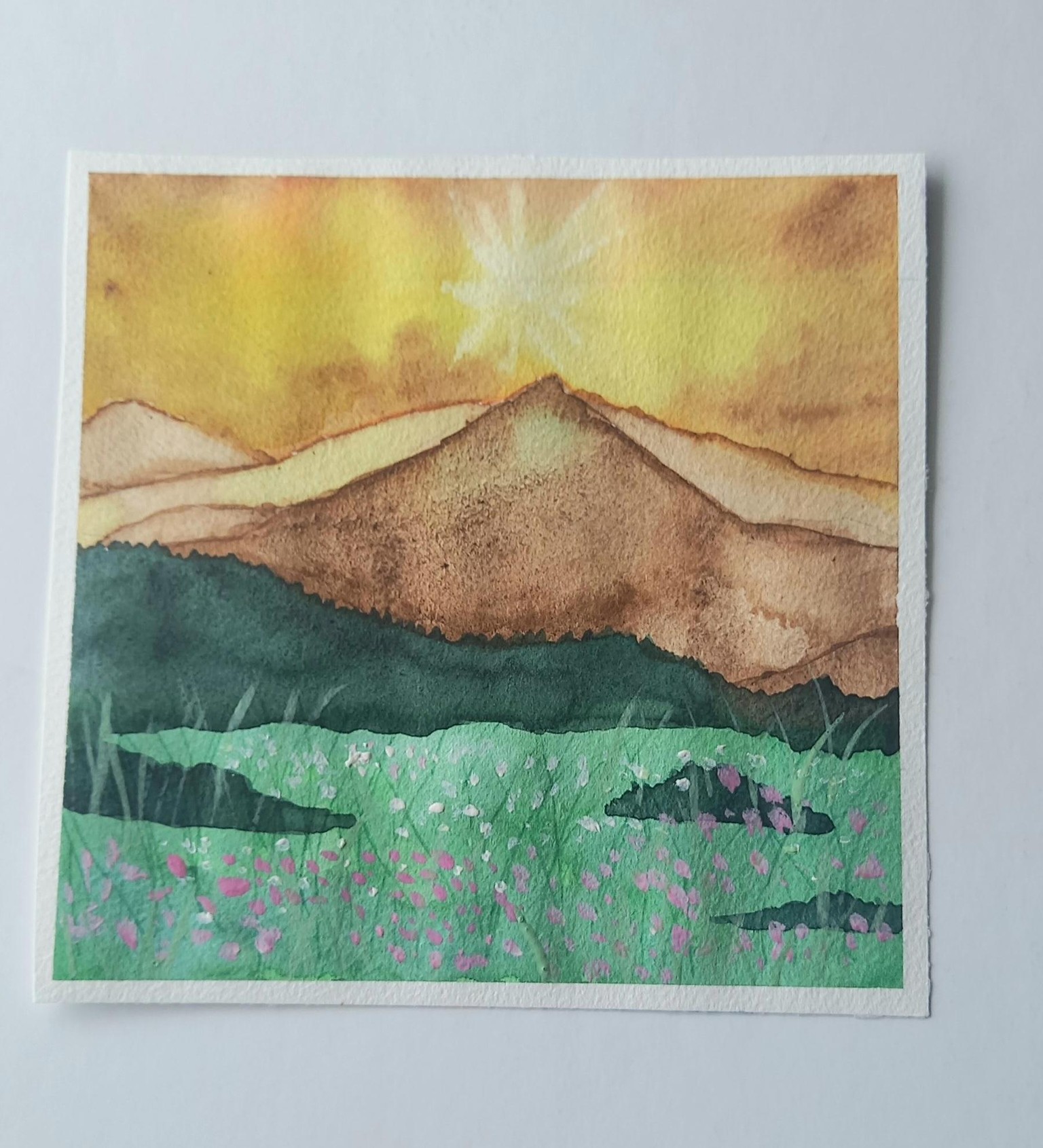 Watercolor meadows - image 1 - student project