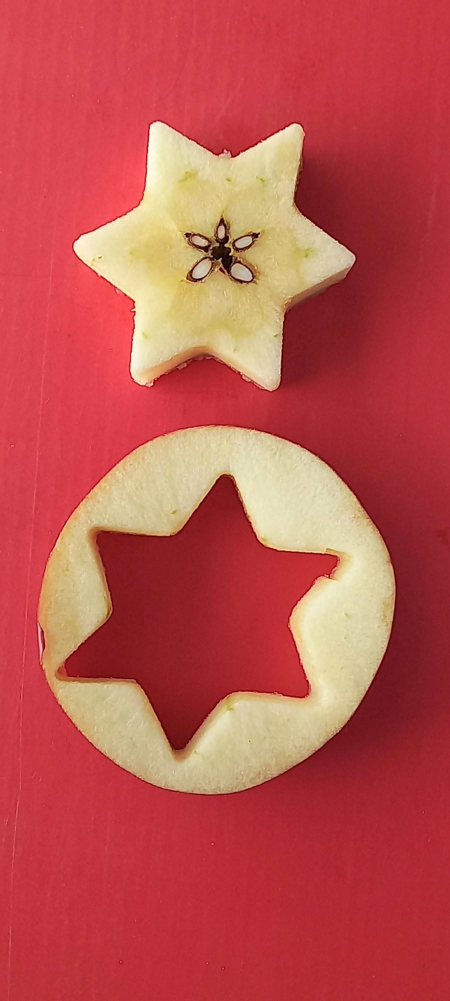 STAR - image 3 - student project
