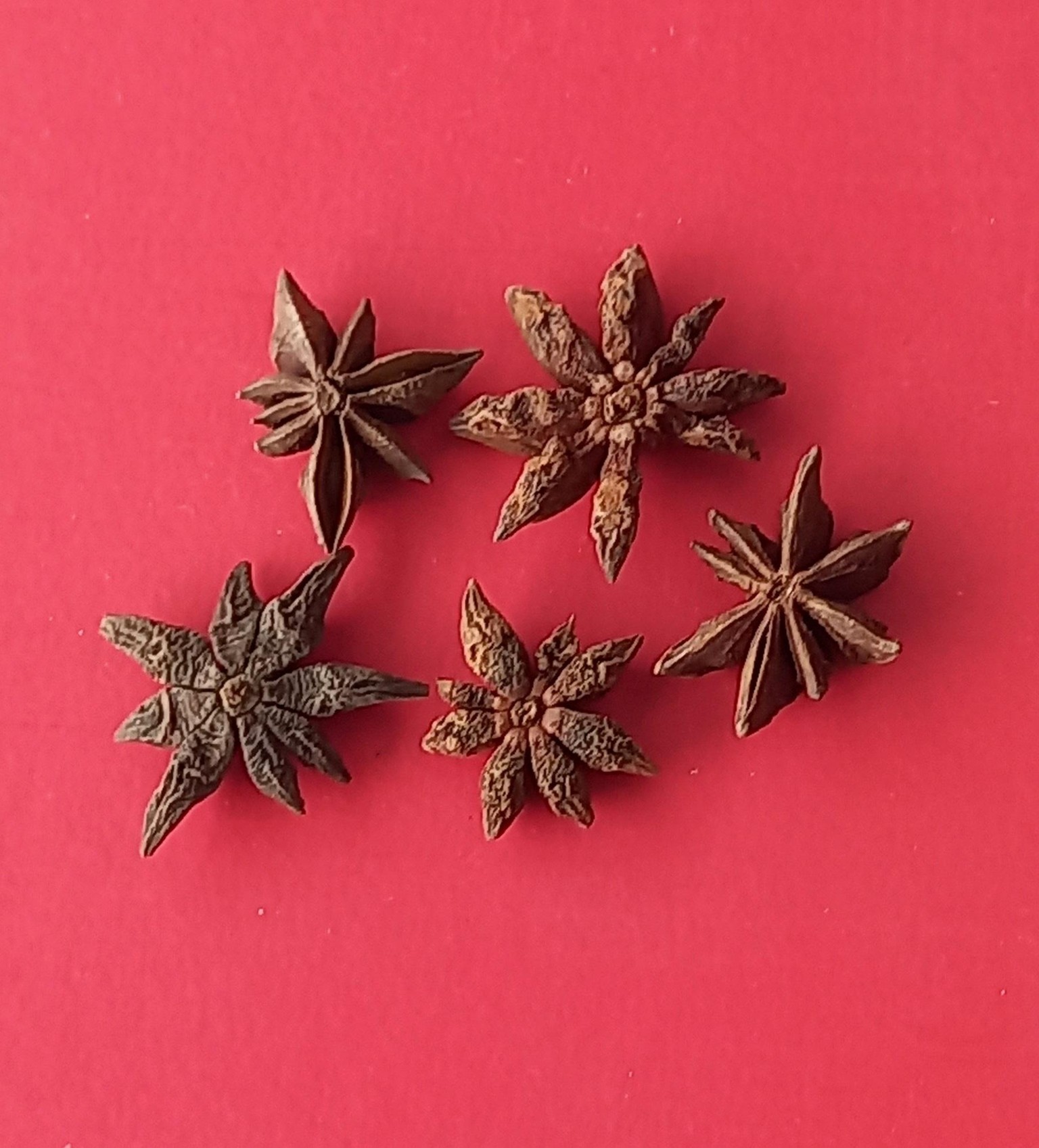 STAR - image 9 - student project
