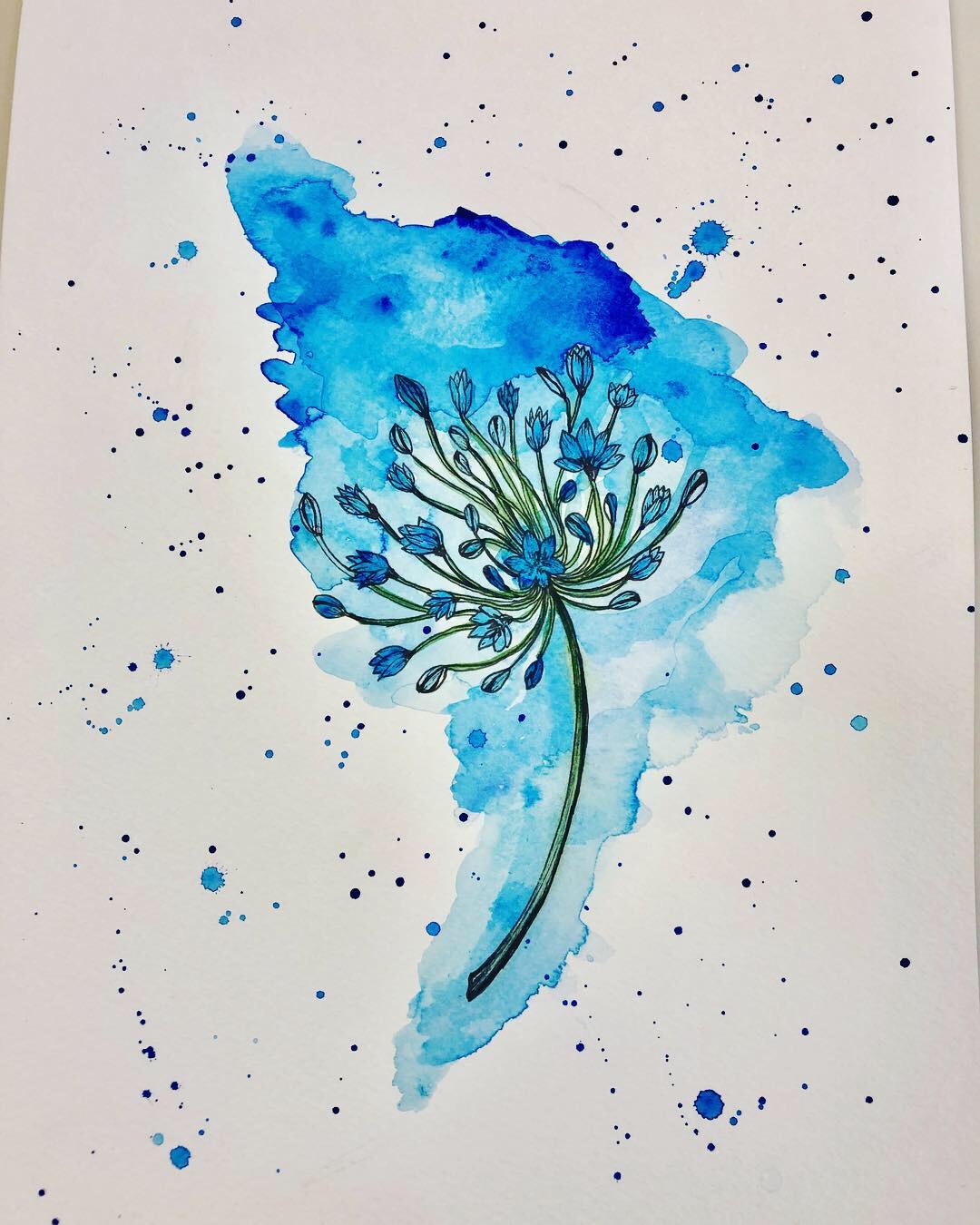agapanthus by adi - image 1 - student project