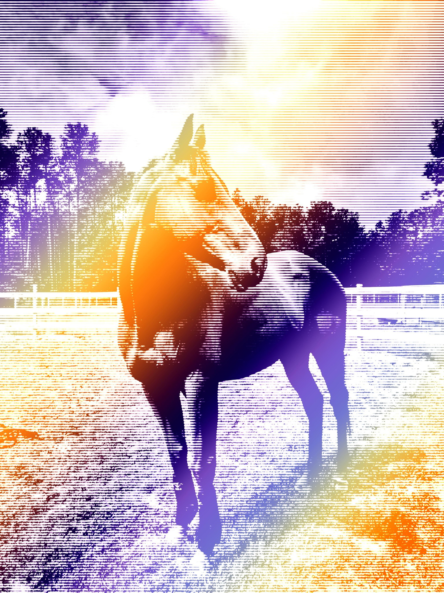 Homework assignments - image 4 - student project