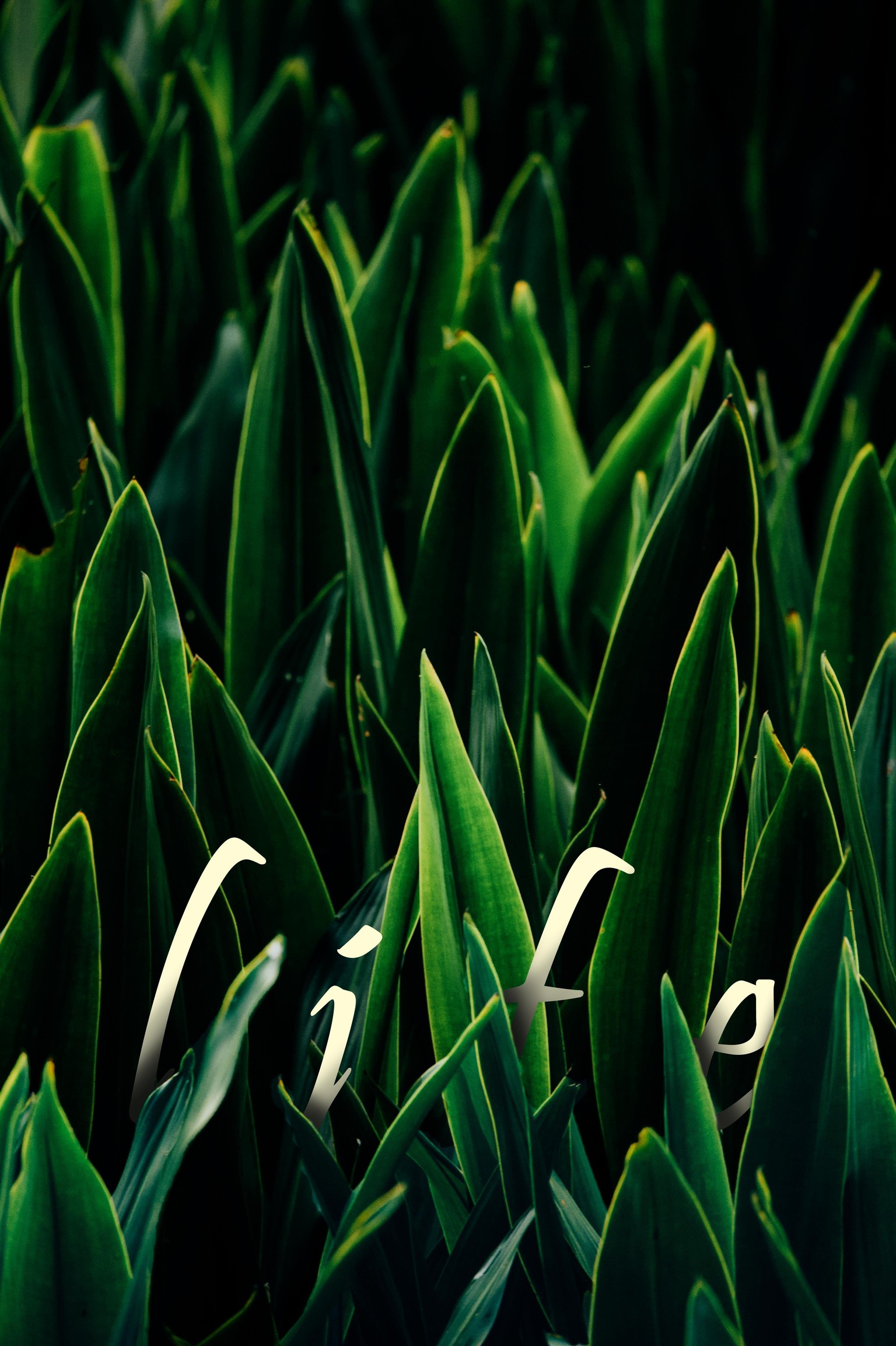 Homework assignments - image 2 - student project
