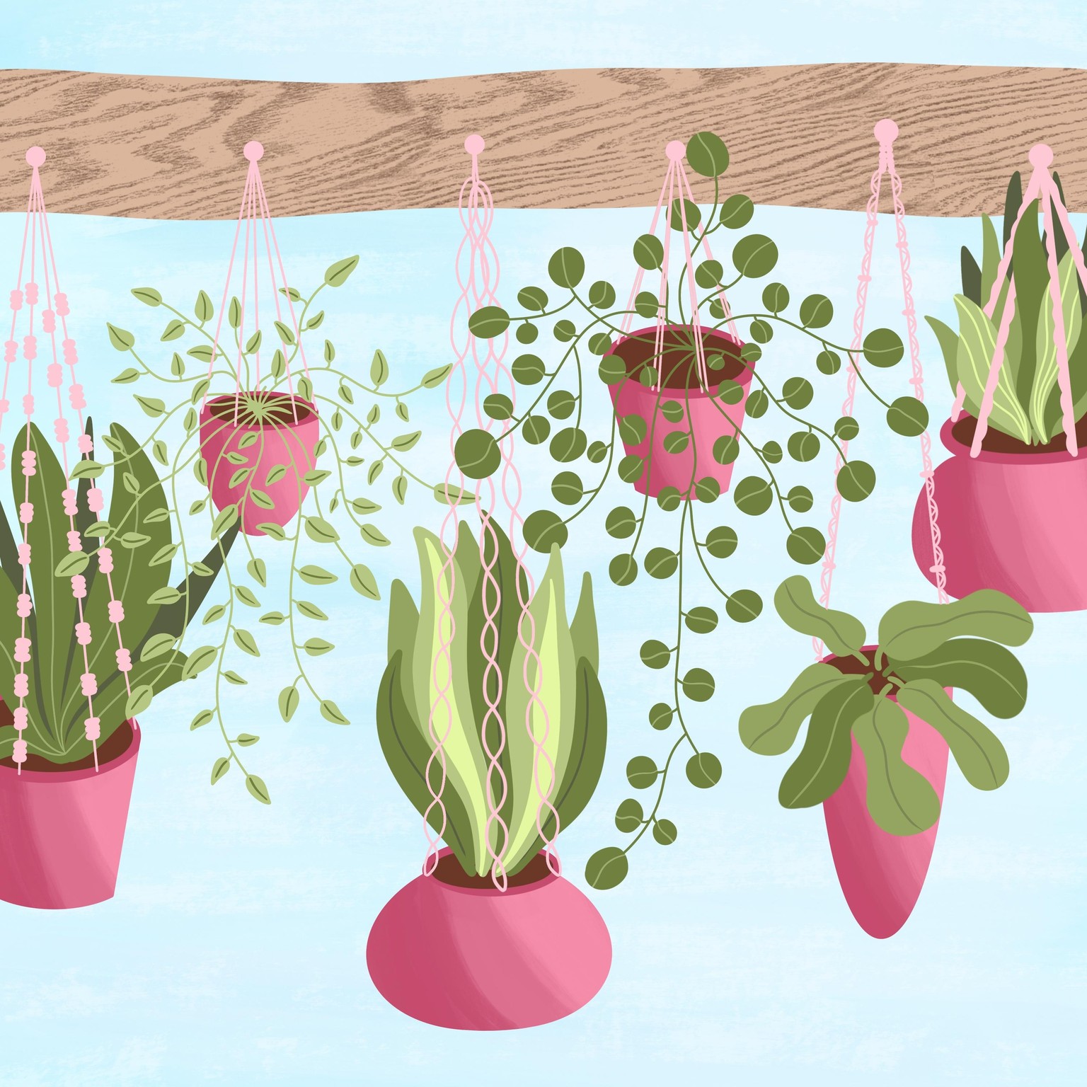 Plants, Plants and more Plants - image 1 - student project