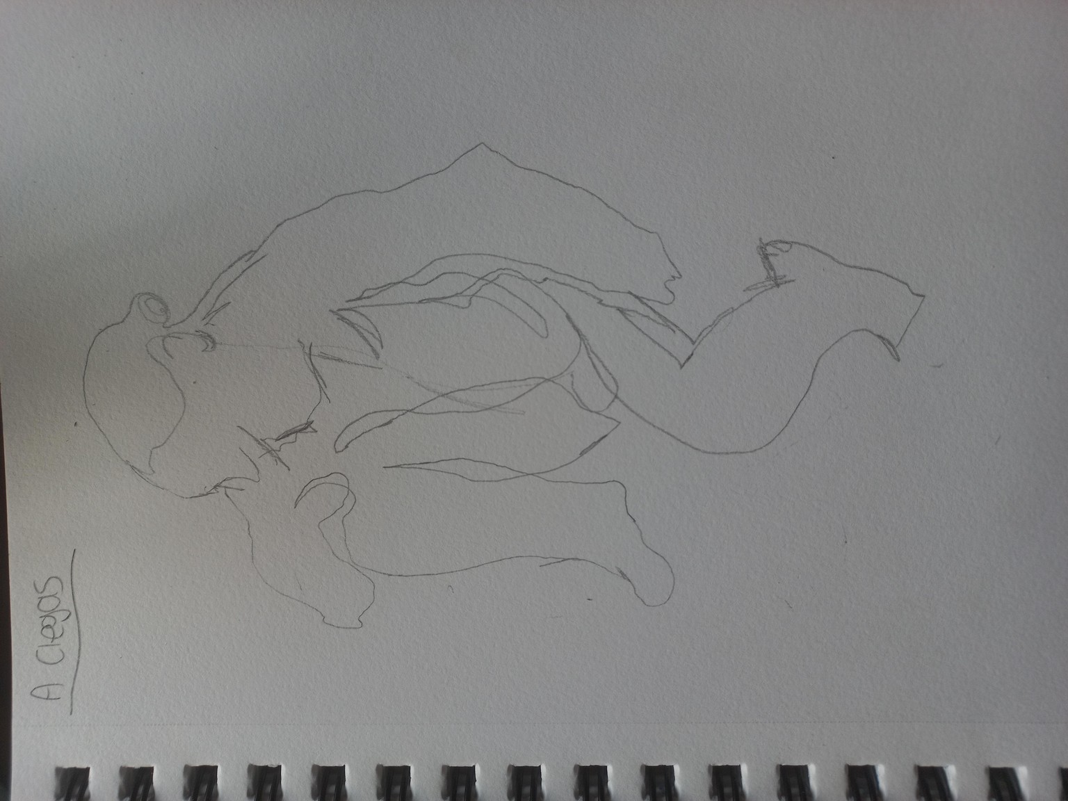 DYNAMIC FIGURE DRAWINGS - image 2 - student project