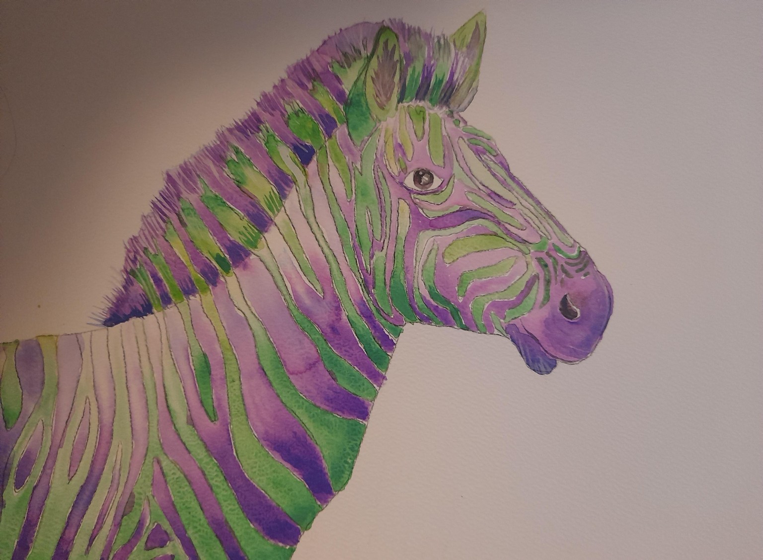 3 Zebras - image 3 - student project