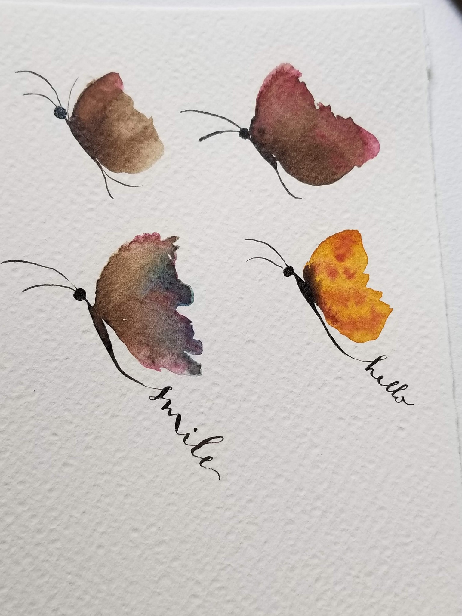 Butterflies - image 2 - student project