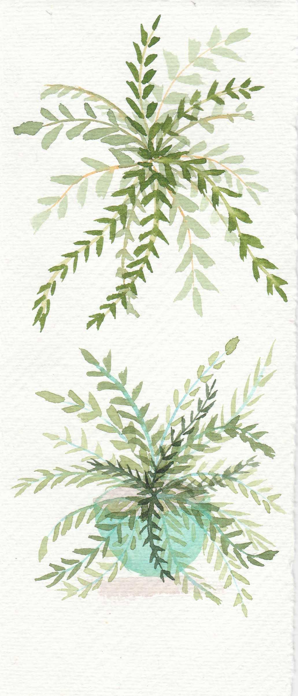 Fern - image 2 - student project