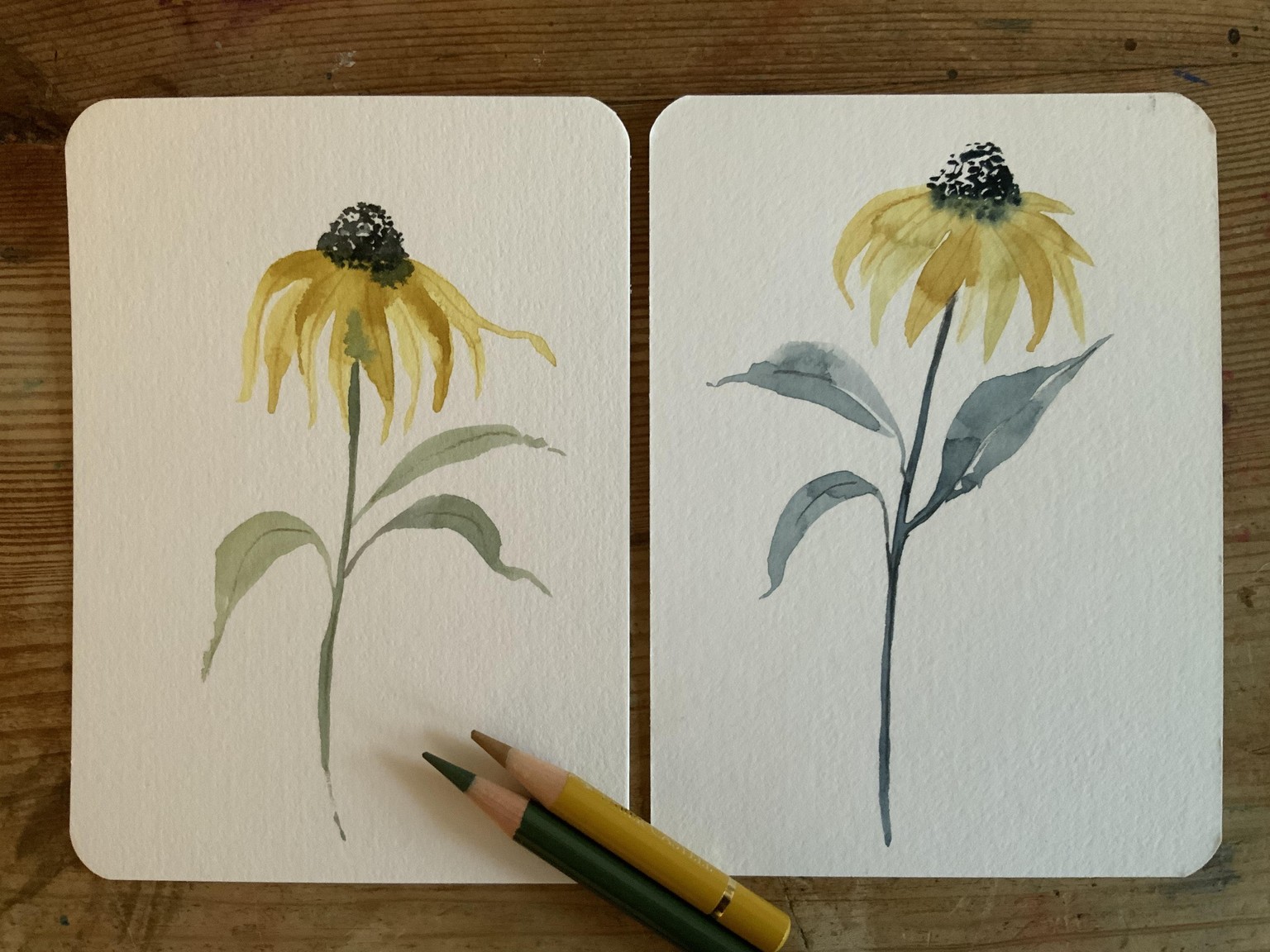 Fun with wildflowers - image 8 - student project