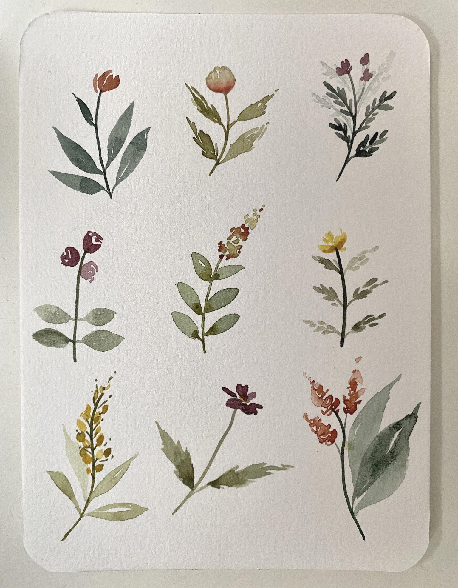Fun with wildflowers - image 15 - student project