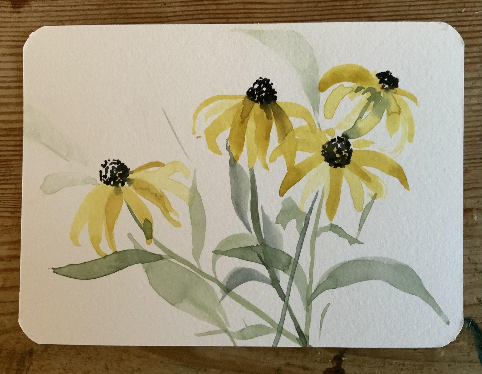 Fun with wildflowers - image 9 - student project