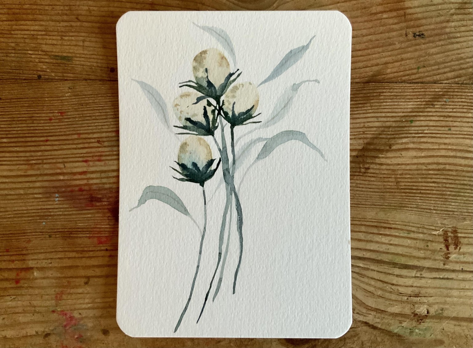 Fun with wildflowers - image 3 - student project
