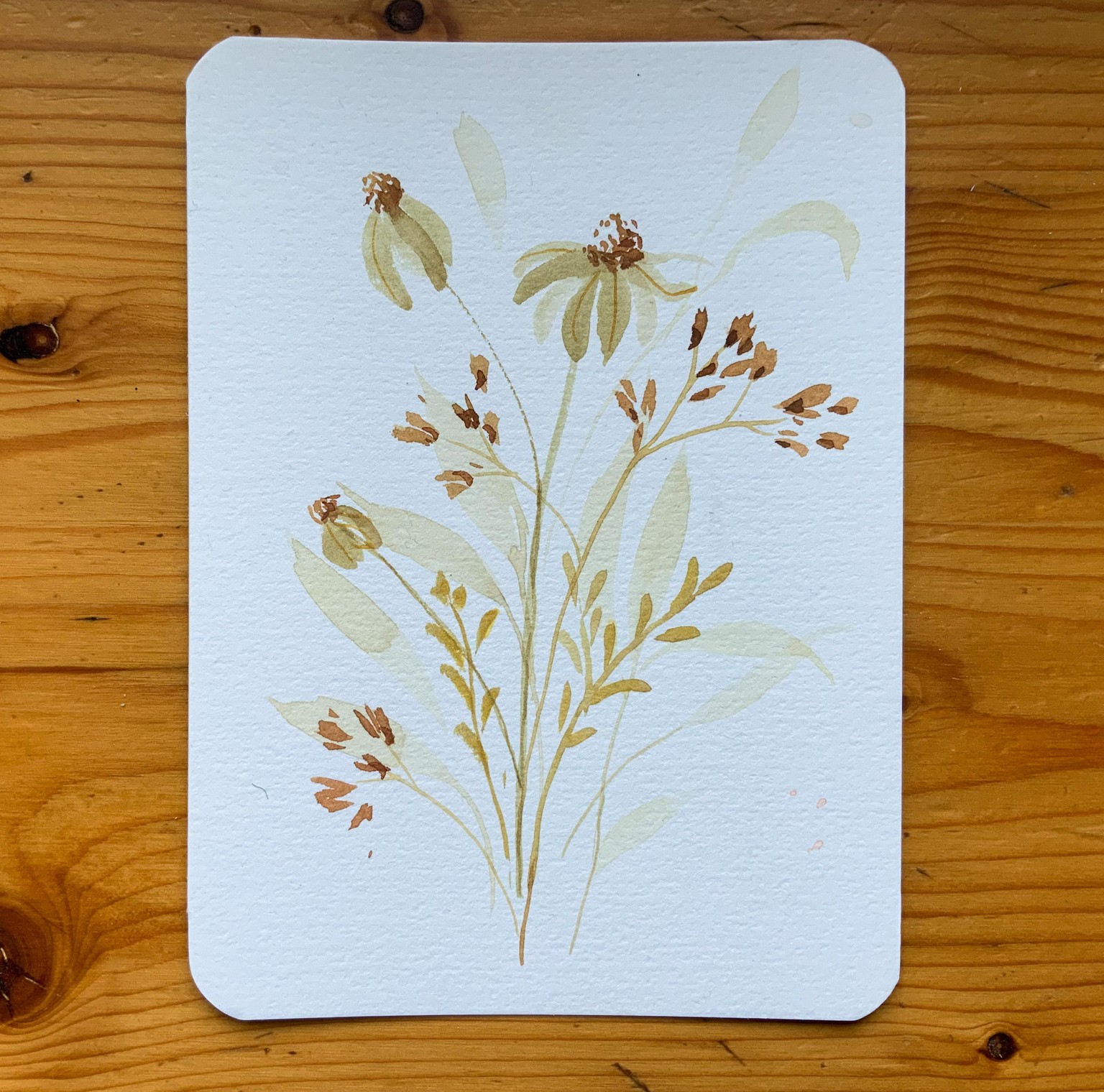 Fun with wildflowers - image 12 - student project