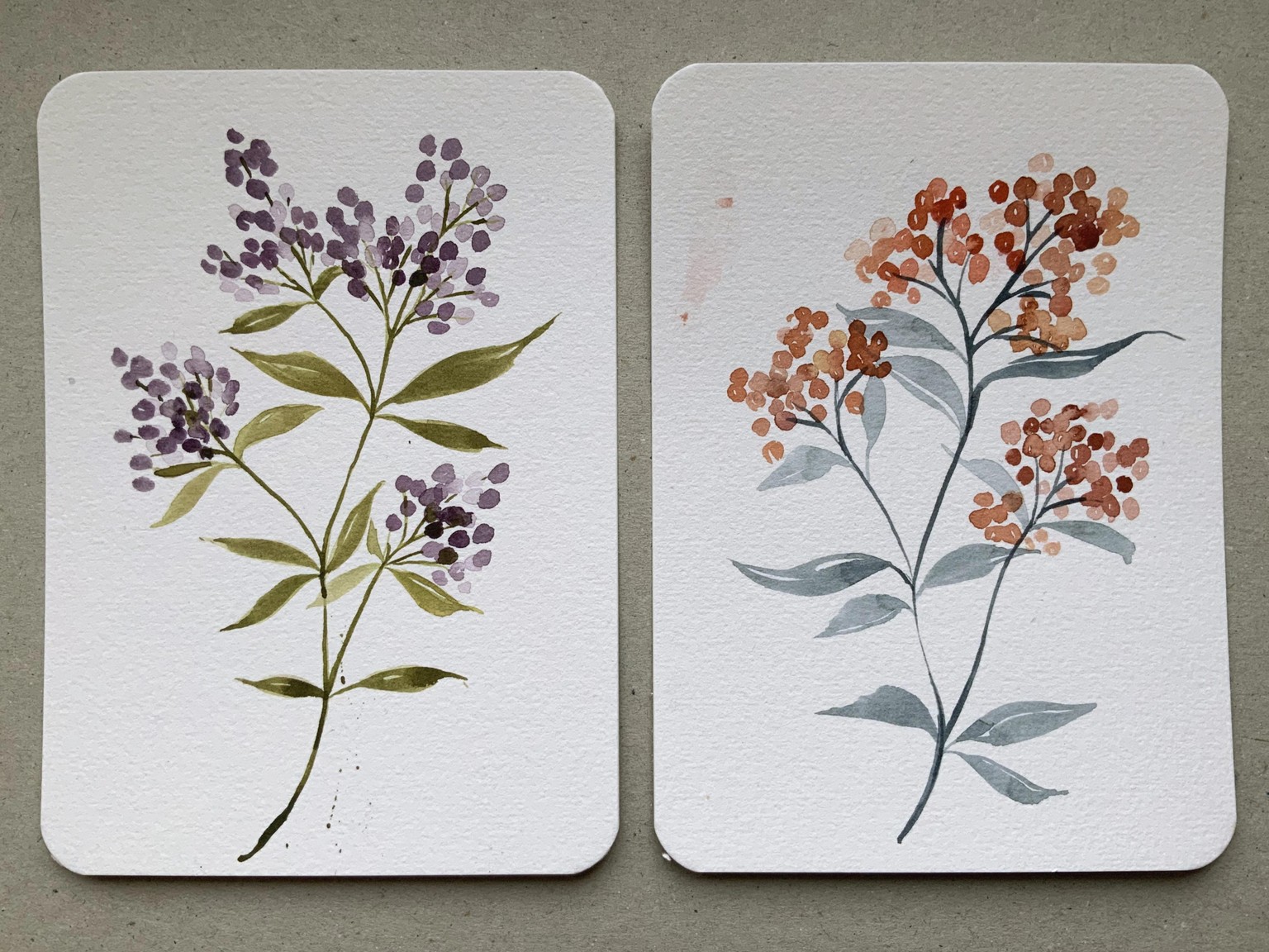 Fun with wildflowers - image 10 - student project