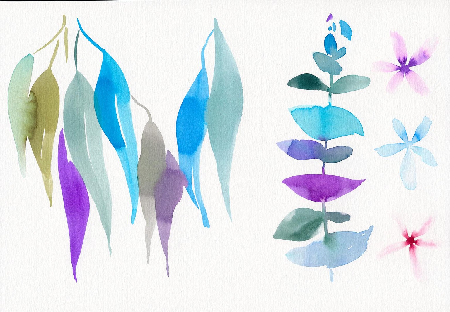 Natalie's Welcome to Watercolour Worksheets - image 7 - student project