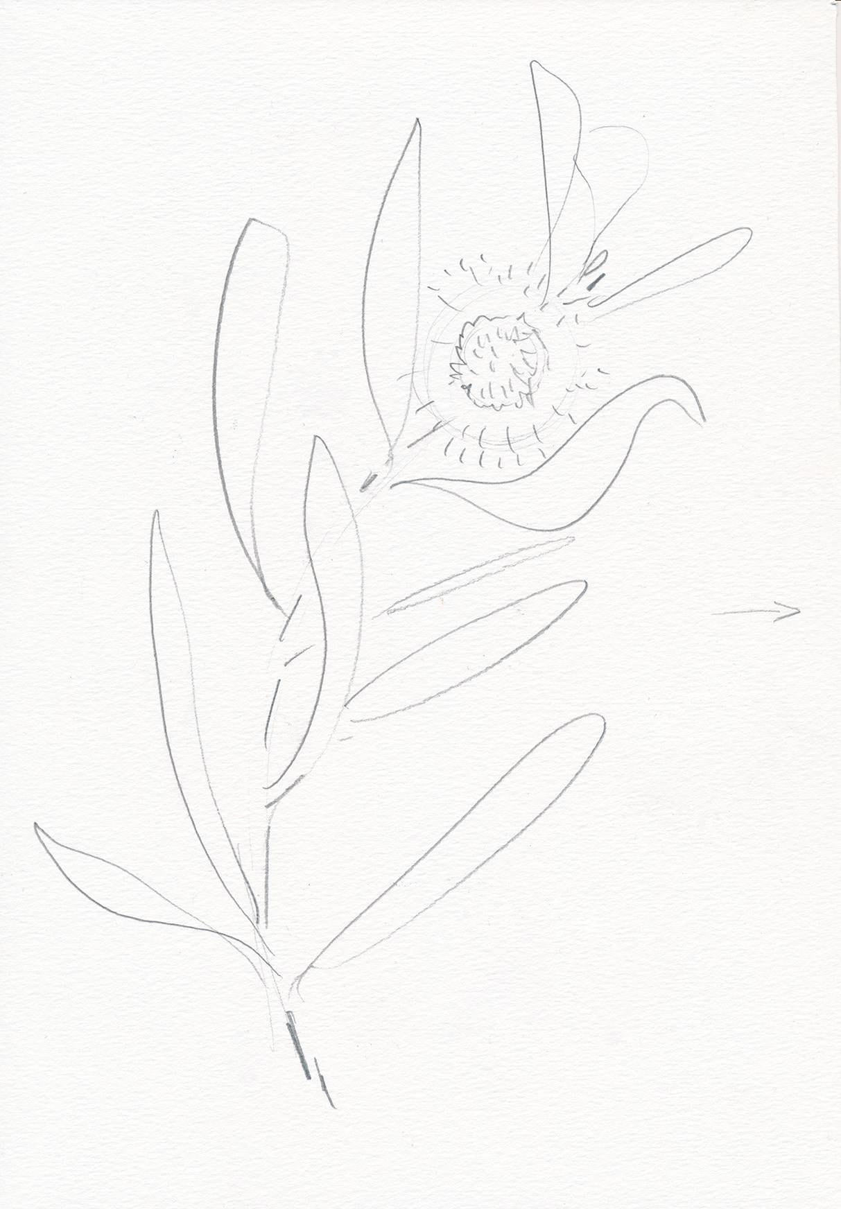 Natalie's Welcome to Watercolour Worksheets - image 8 - student project
