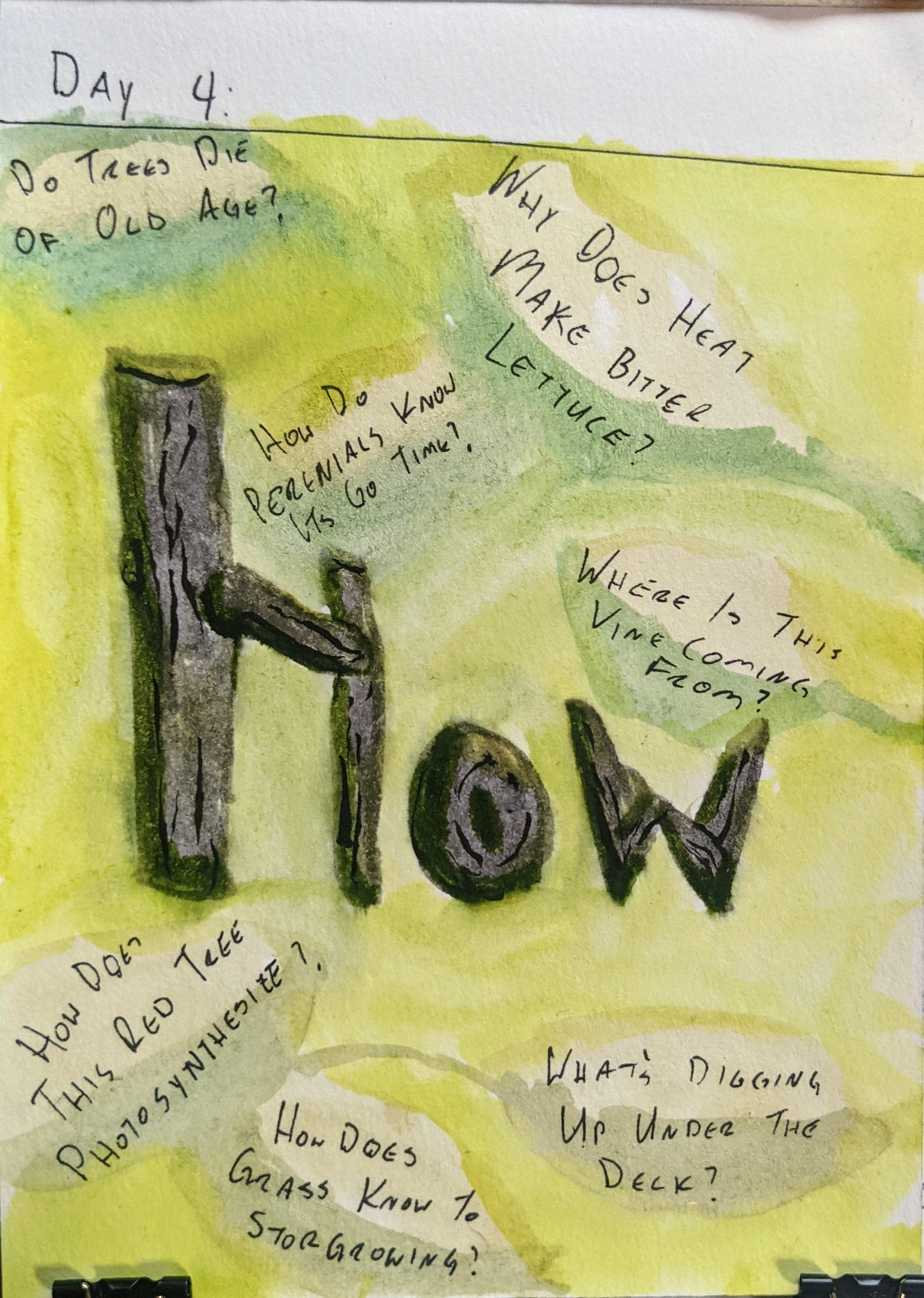 Urban Nature Journaling: 7 Days of Artistic Prompts - image 7 - student project