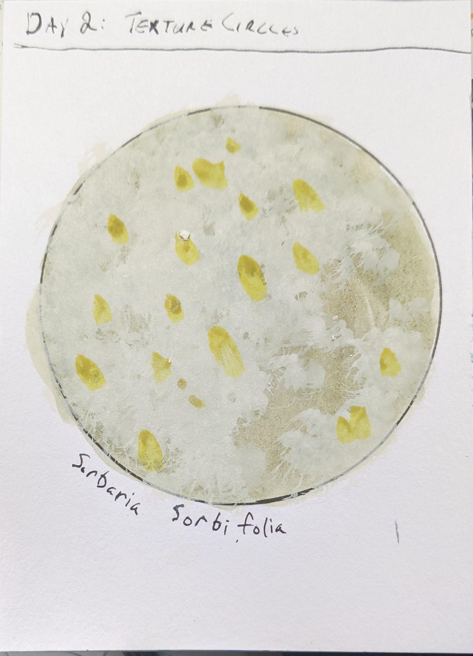 Urban Nature Journaling: 7 Days of Artistic Prompts - image 3 - student project
