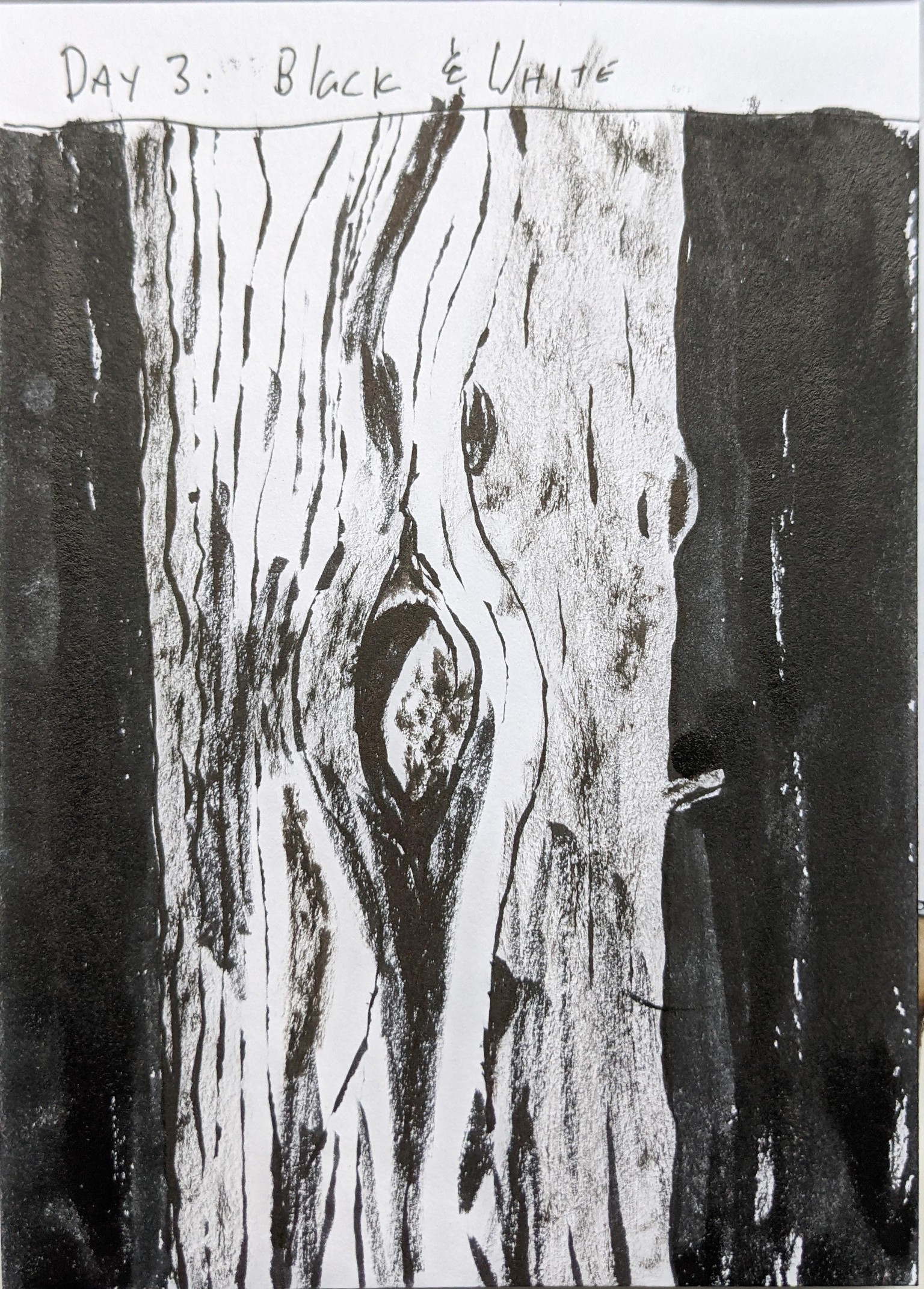 Urban Nature Journaling: 7 Days of Artistic Prompts - image 5 - student project