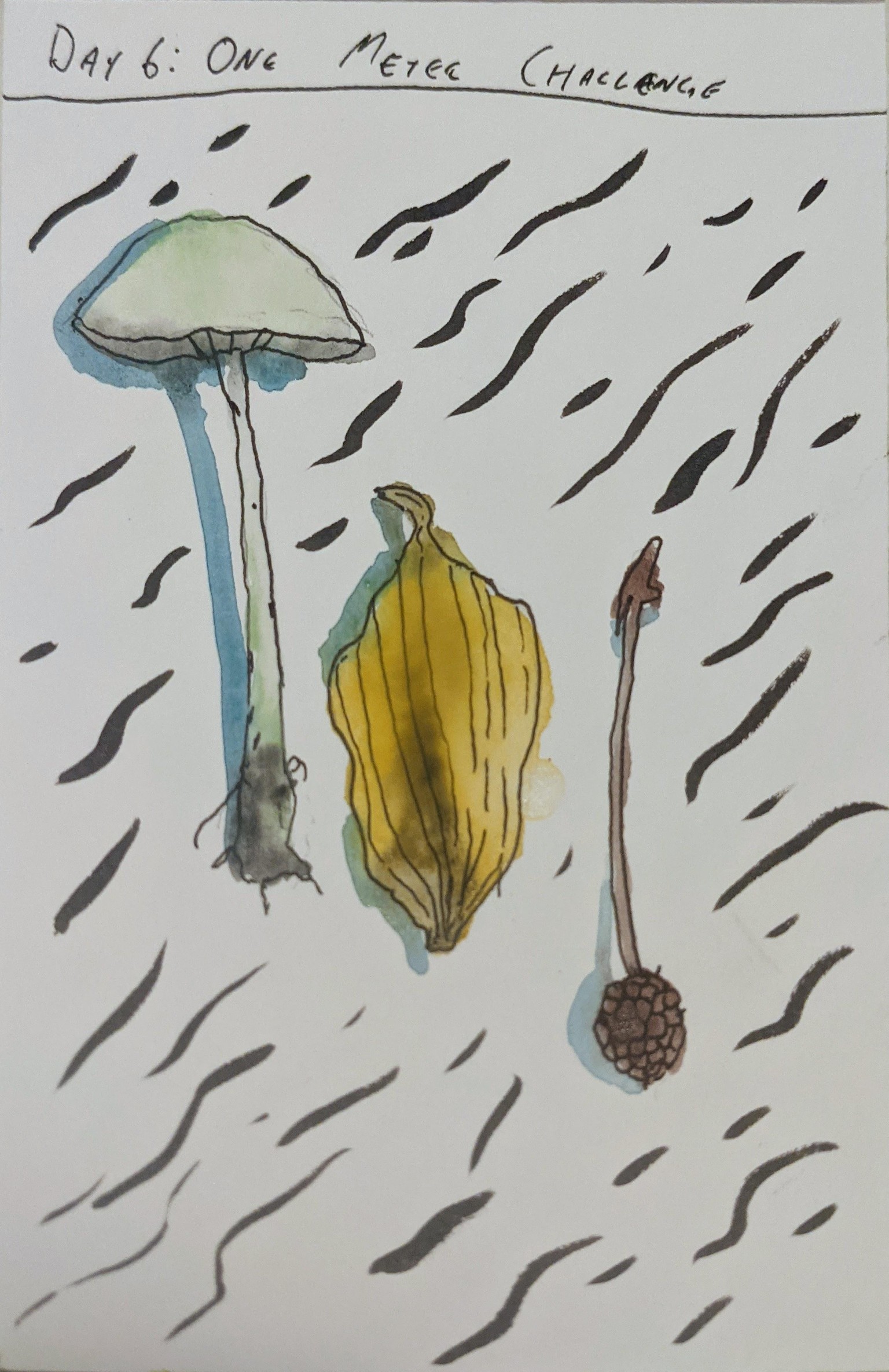 Urban Nature Journaling: 7 Days of Artistic Prompts - image 11 - student project