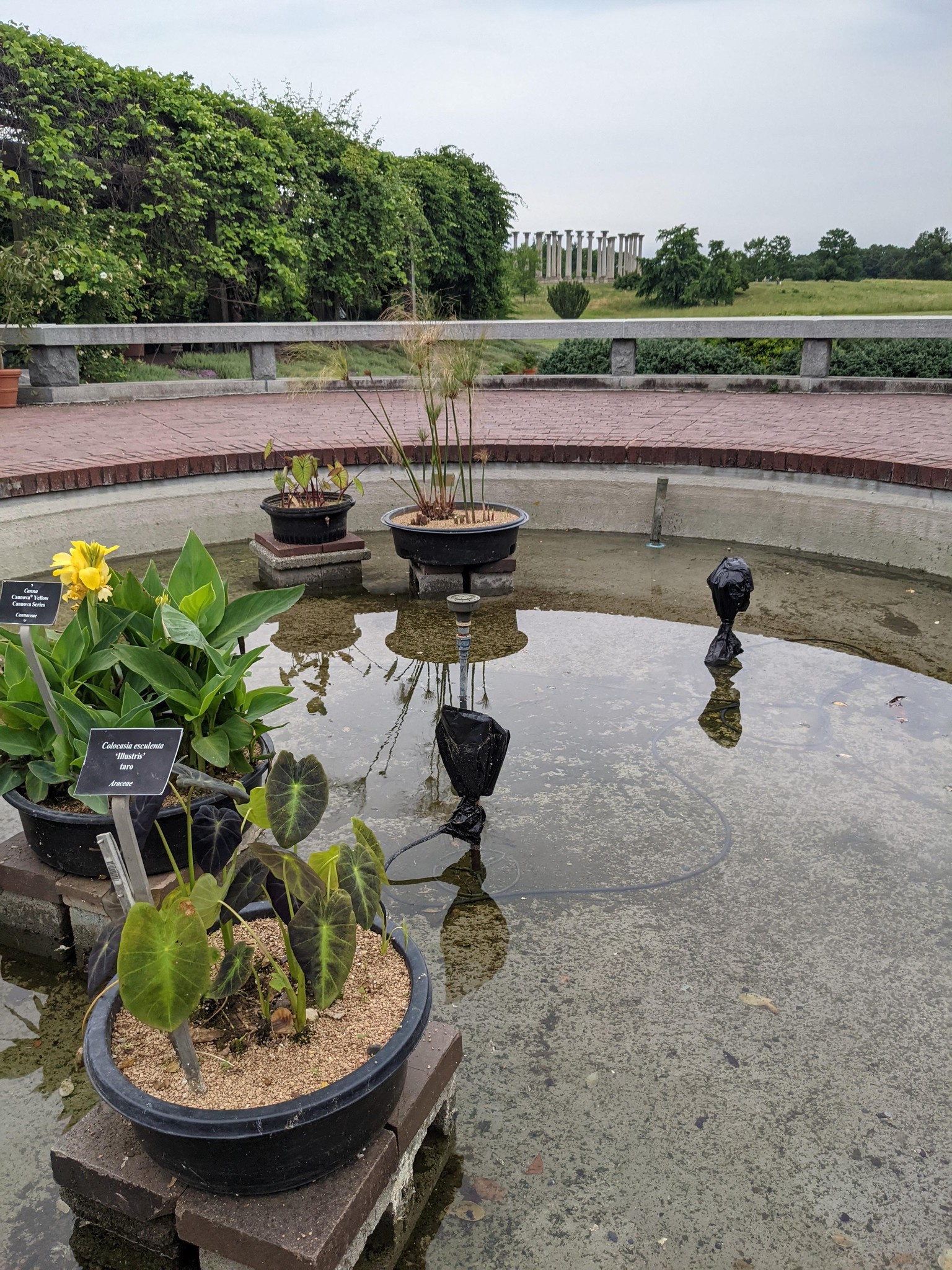 Urban Nature Journaling: 7 Days of Artistic Prompts - image 2 - student project
