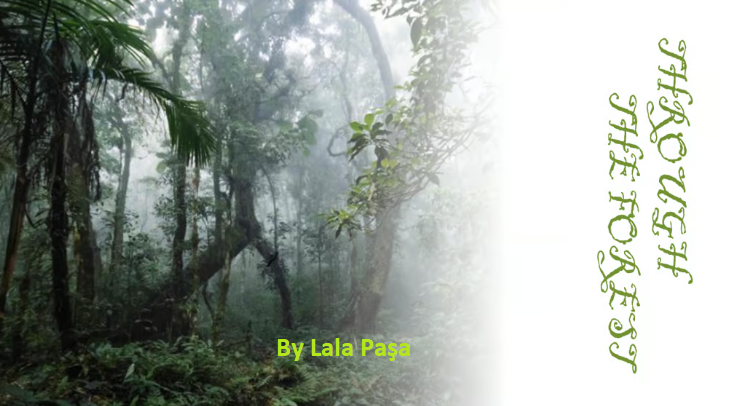 my book cover - image 1 - student project