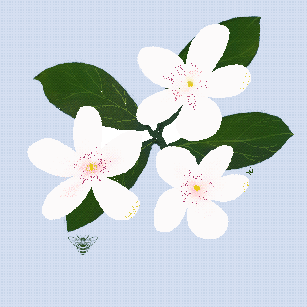 Animated Gif-changing colour and motion gif - image 2 - student project