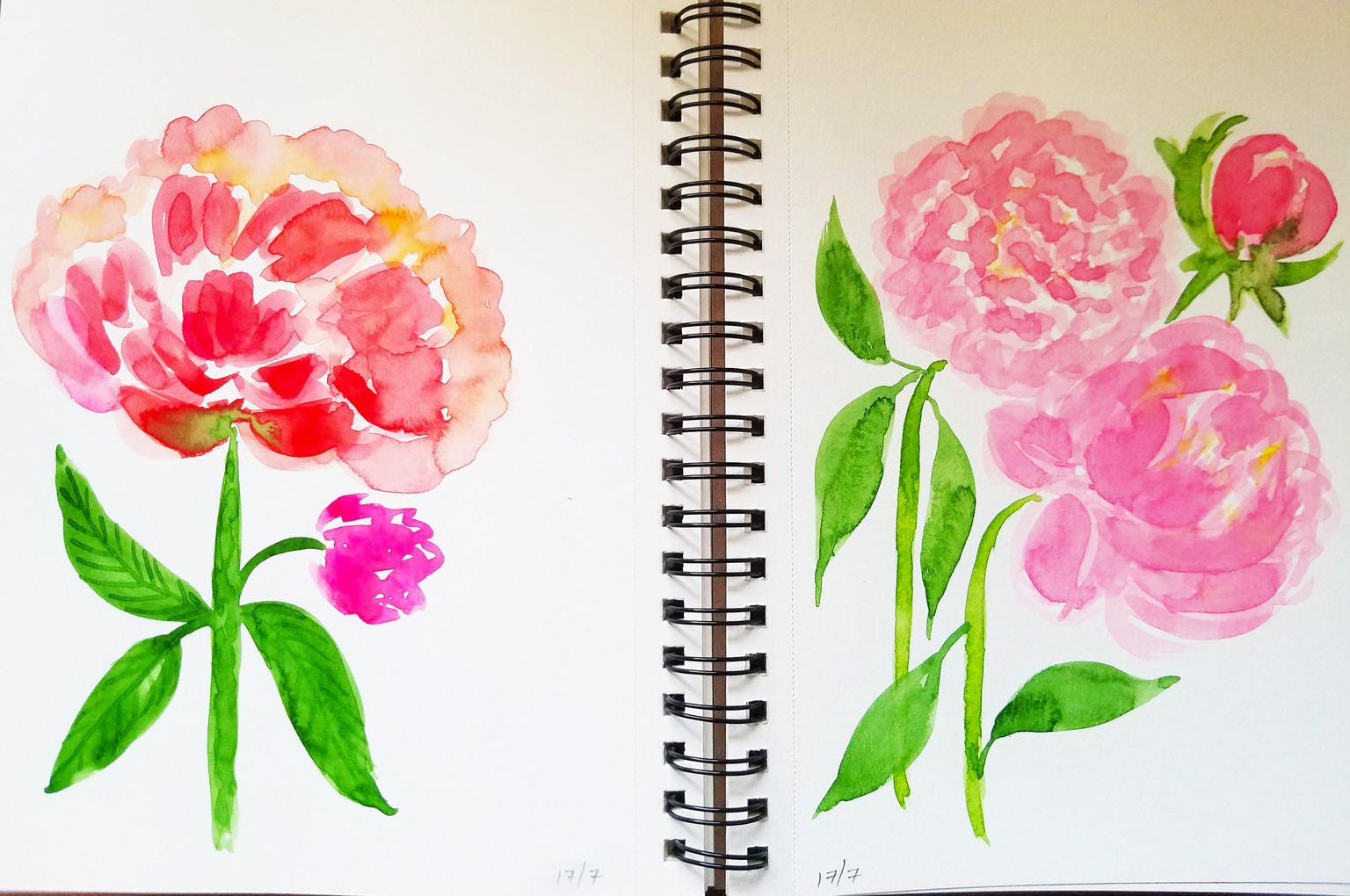 Loose Watercolor Peony - image 3 - student project