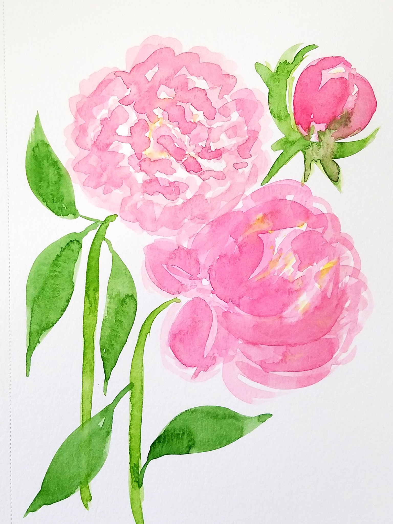 Loose Watercolor Peony - image 2 - student project